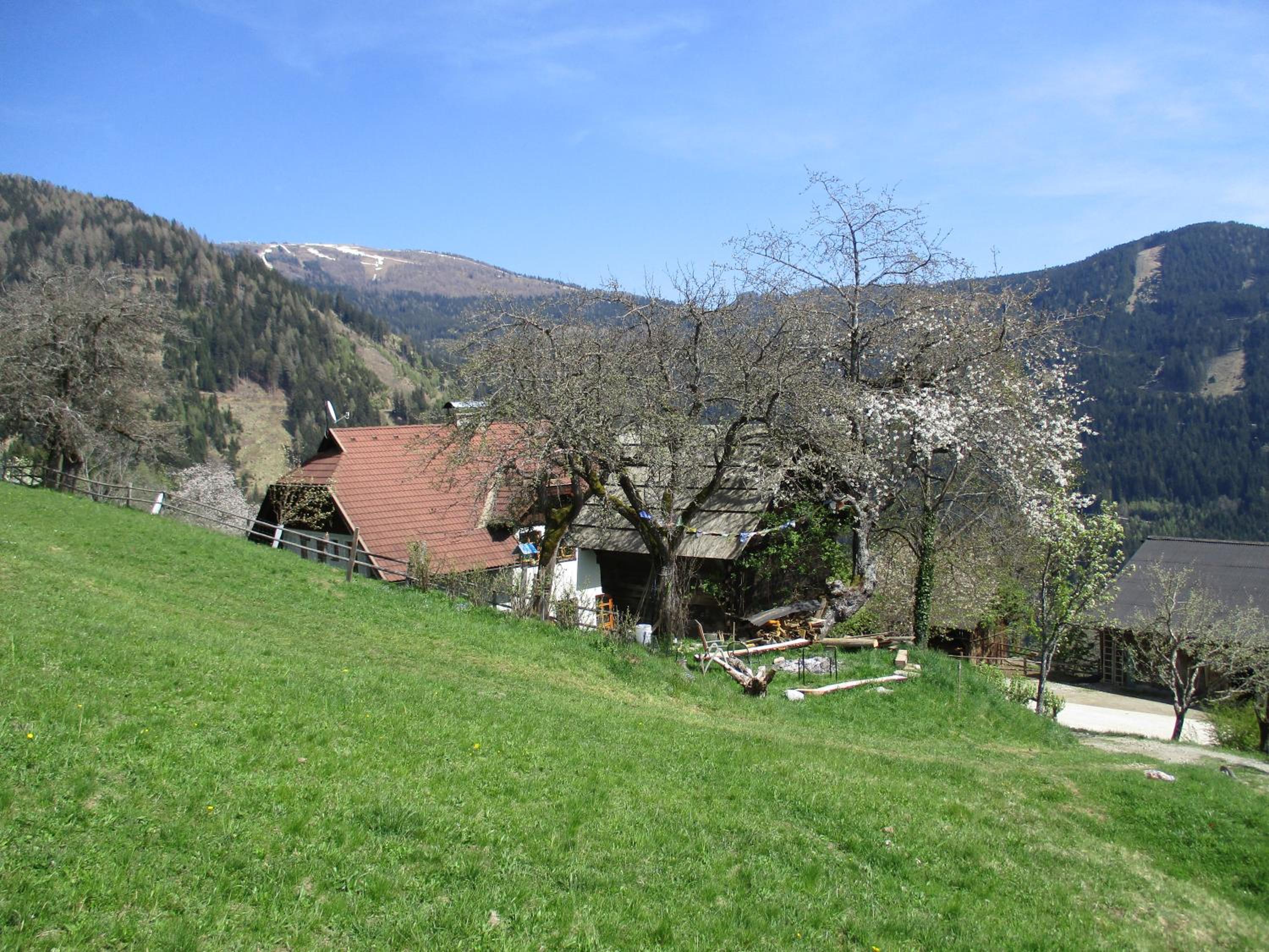 Photo 10