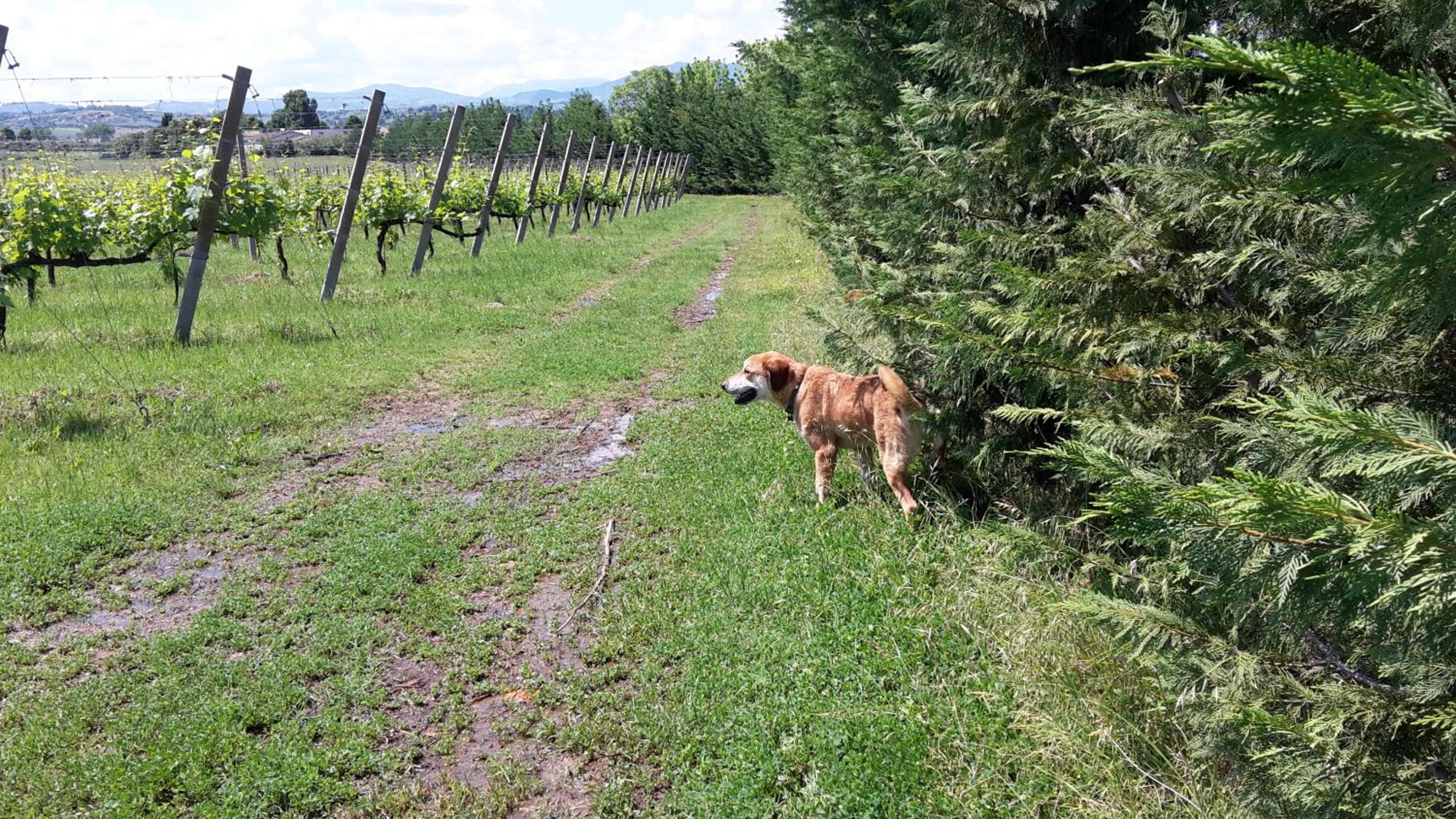 Agriturismo Case Mori