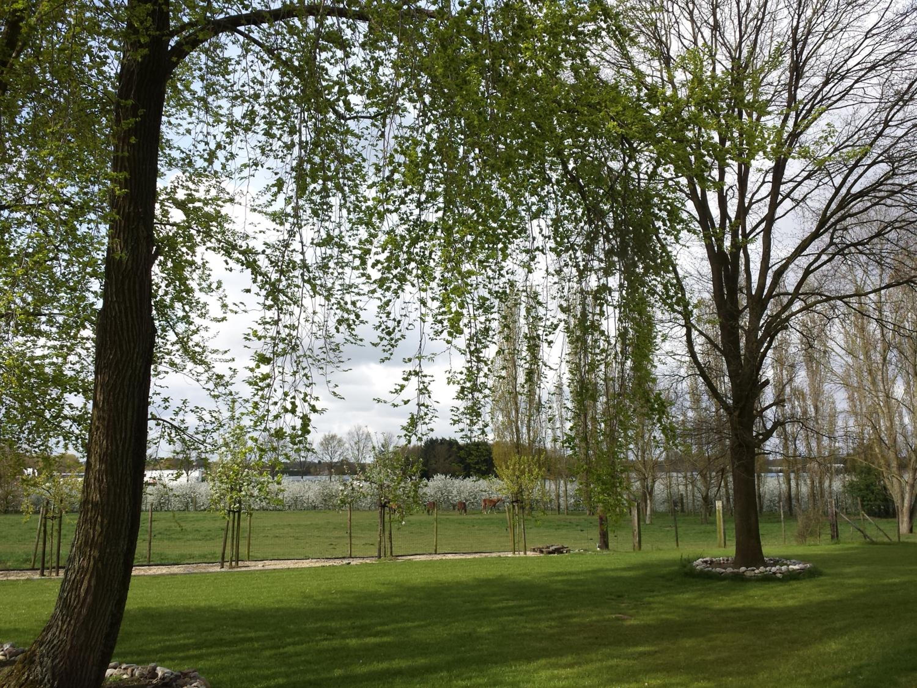 B&B Johannes-Hoeve