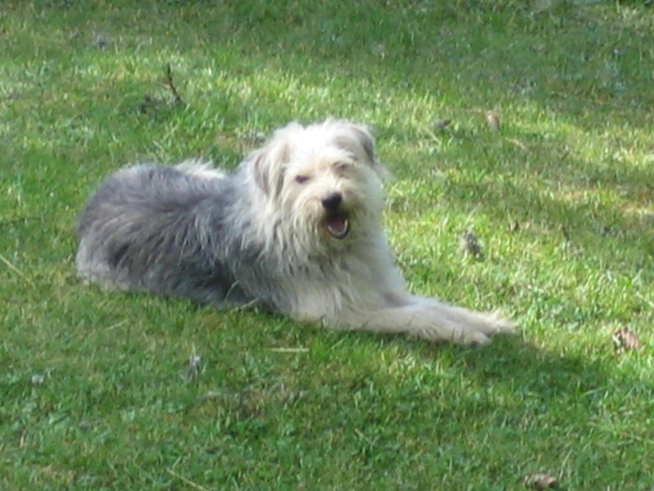 Photo 12