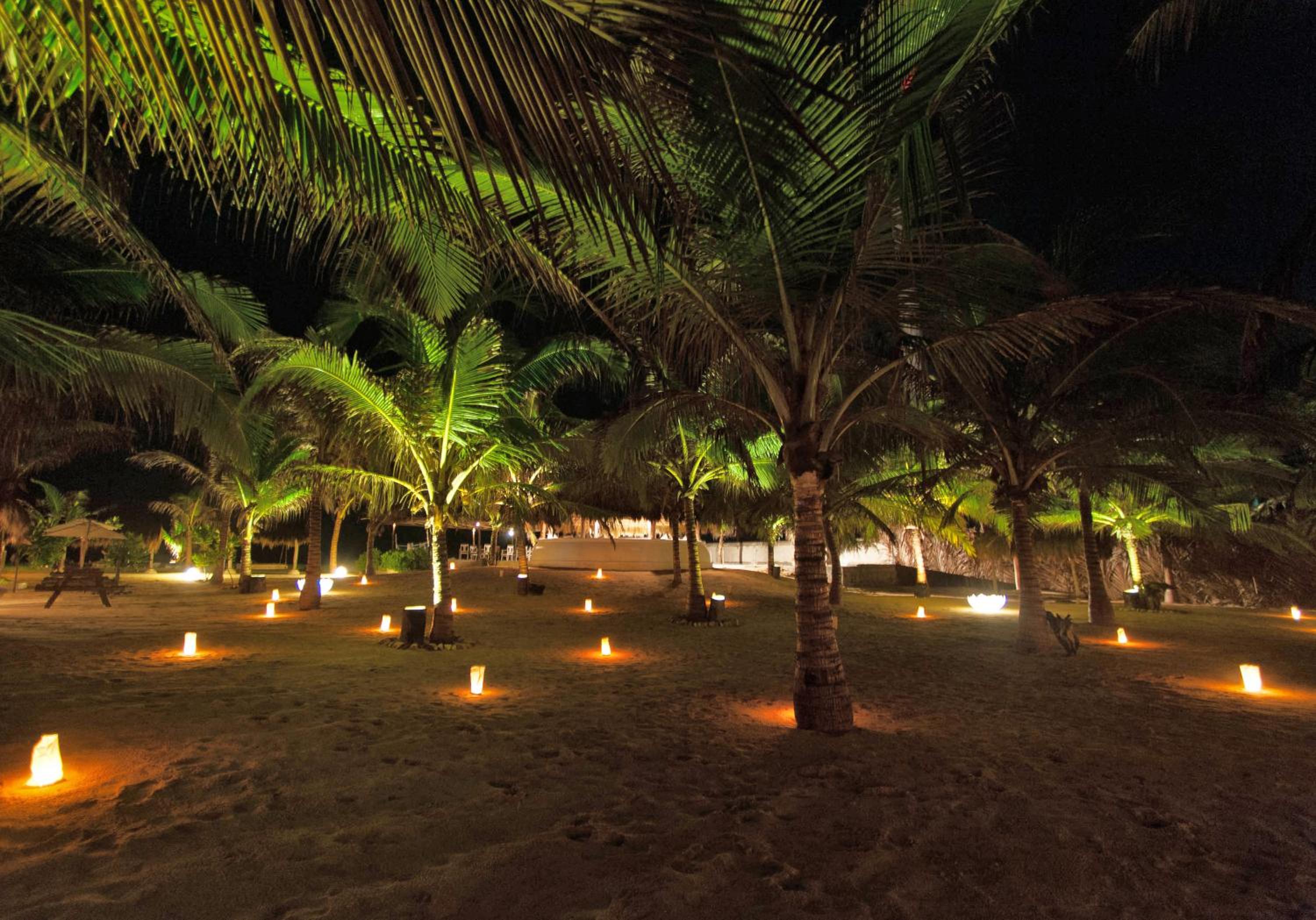 Dolphin Beach Resort
