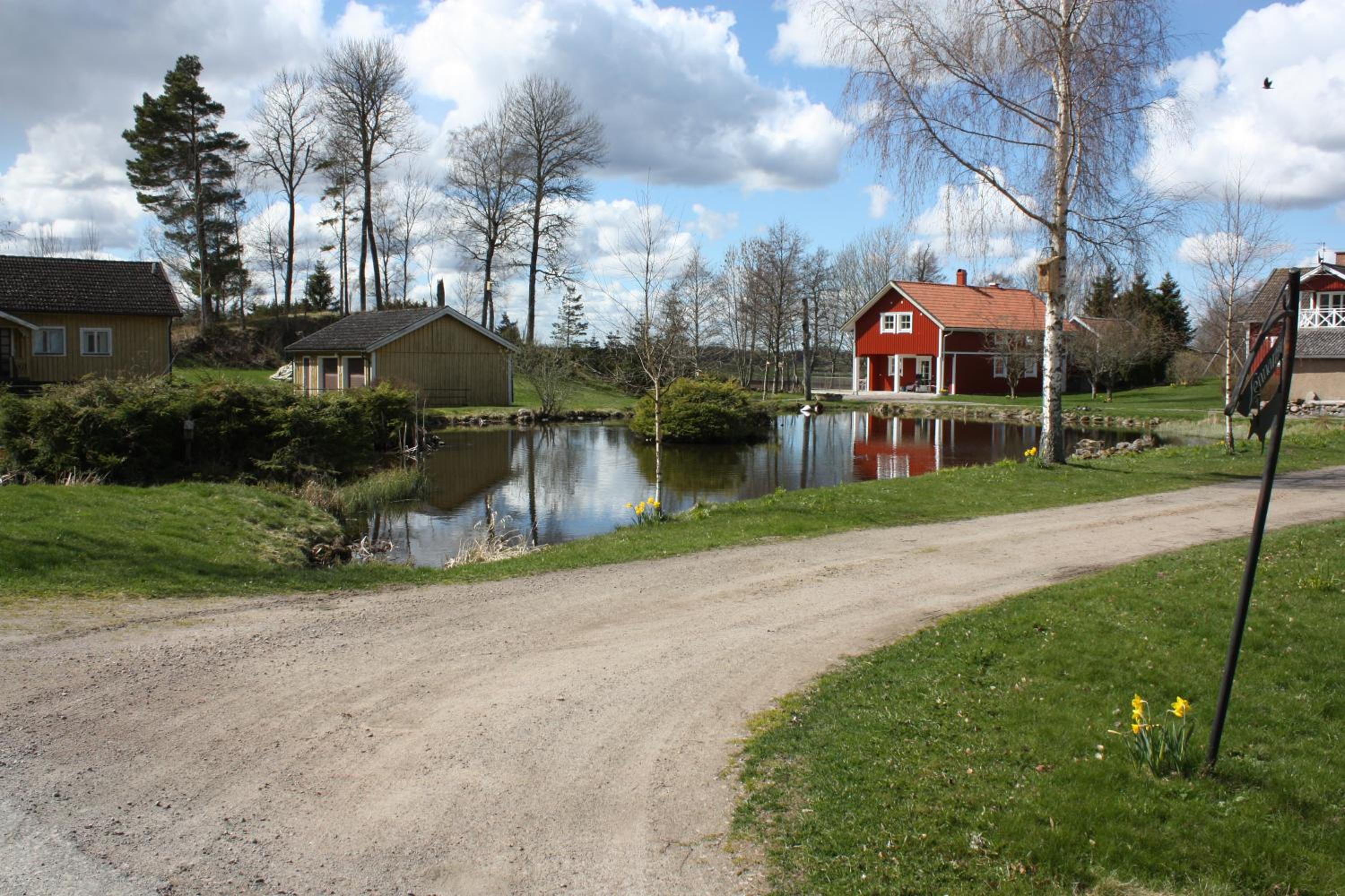 Photo 21