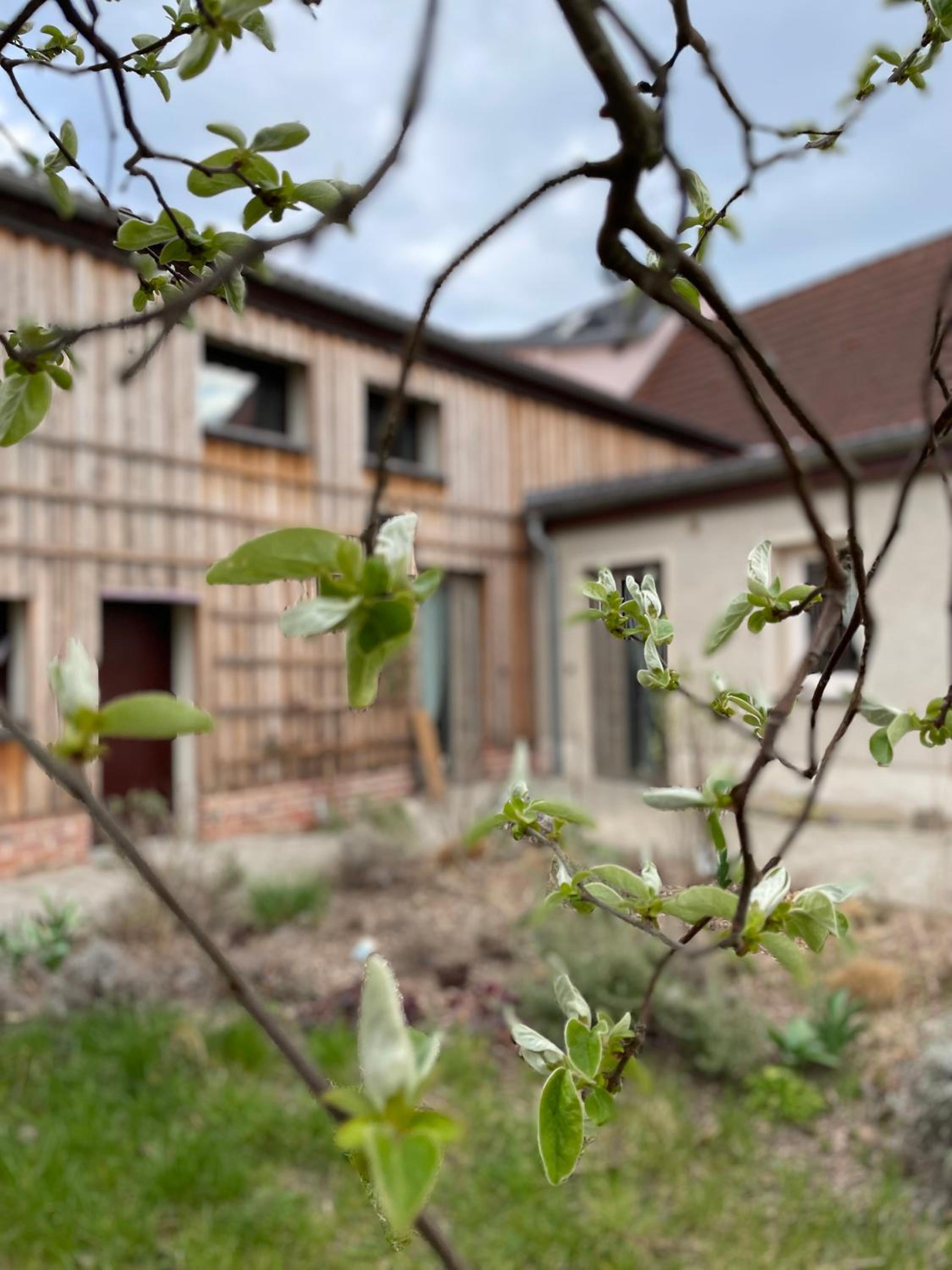Kochstedter Wohnstuben - Wohnen mit Naturbaustoffen in der Bauhausstadt Dessau