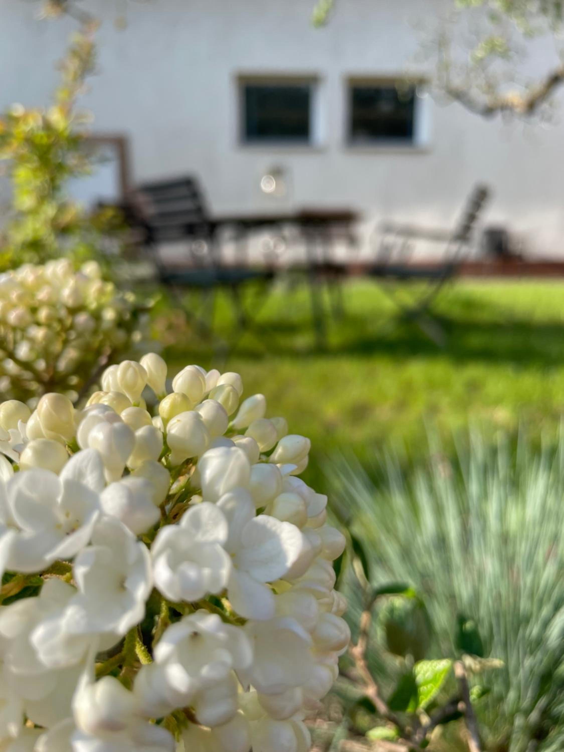 Kochstedter Wohnstuben - Wohnen mit Naturbaustoffen in der Bauhausstadt Dessau