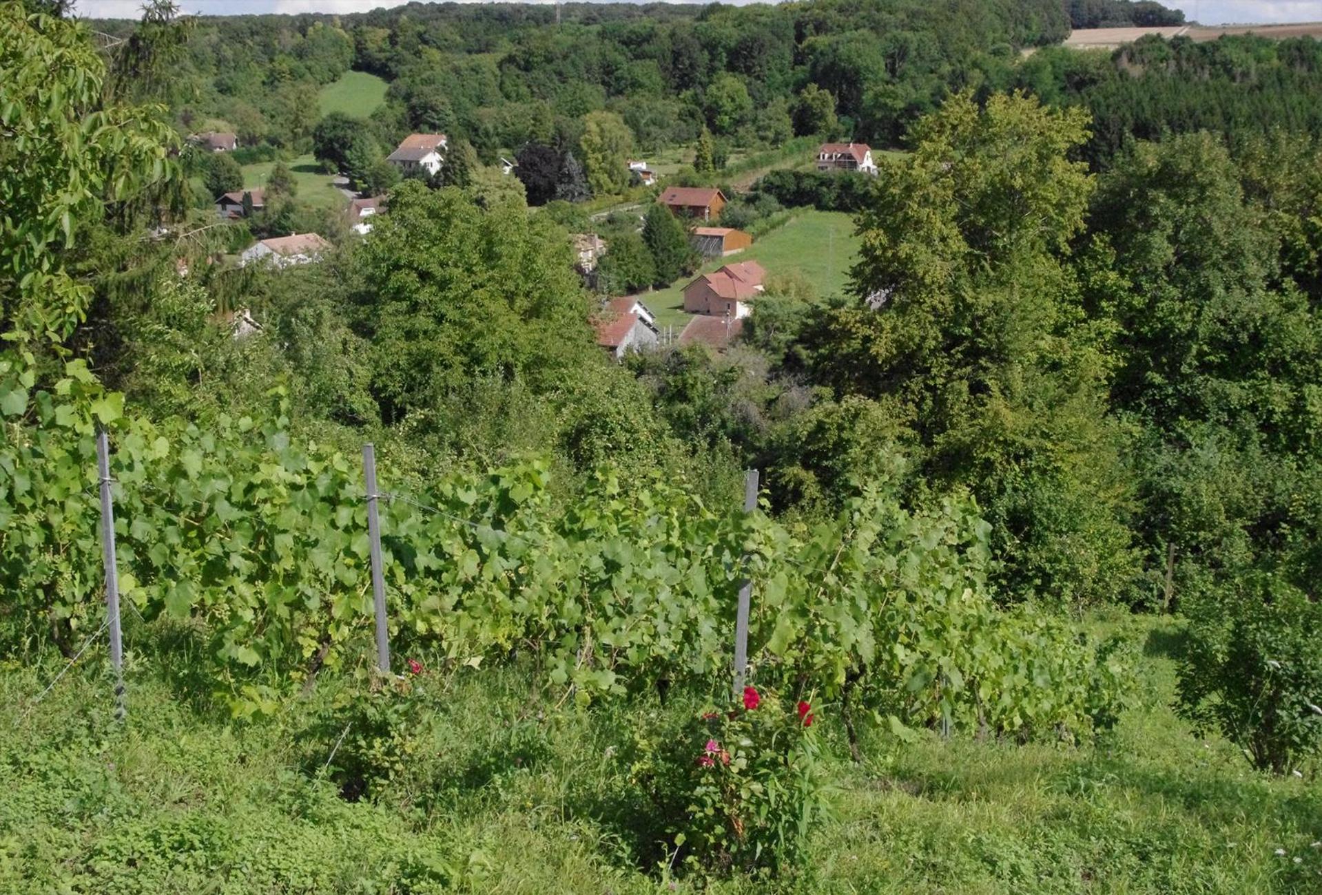 Photo 20
