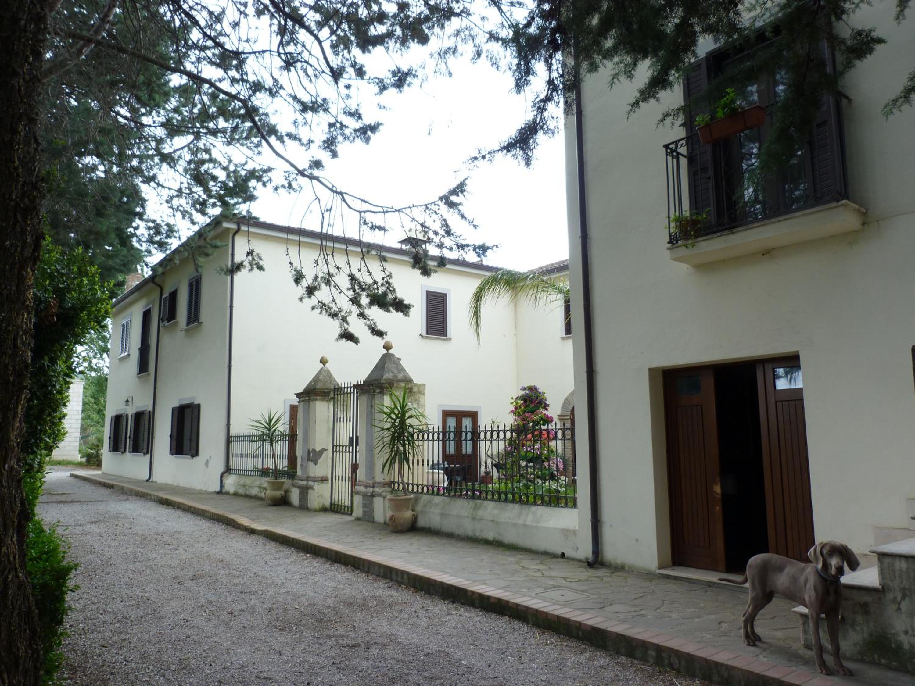 Photo 45