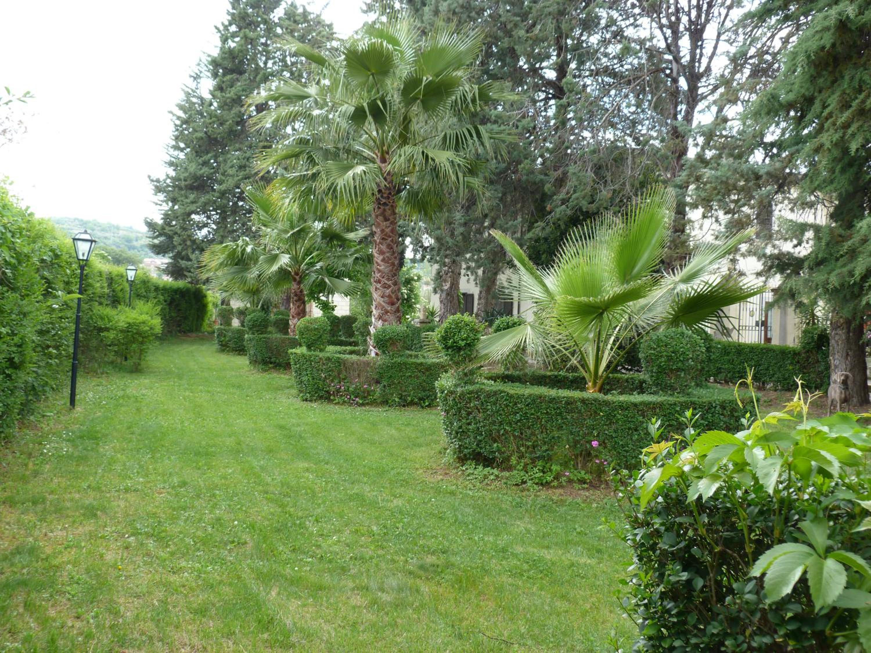 Photo 46