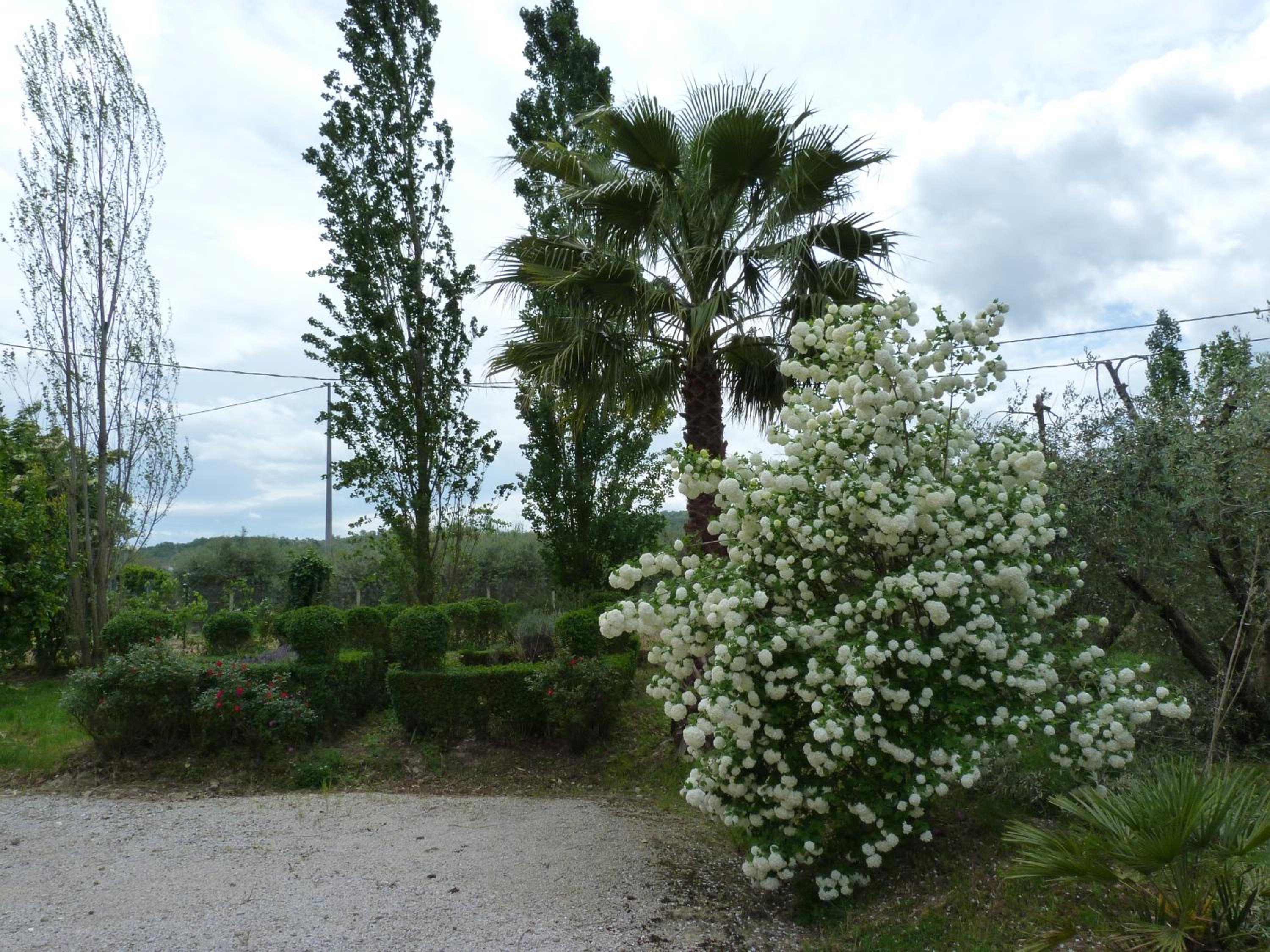 Photo 49