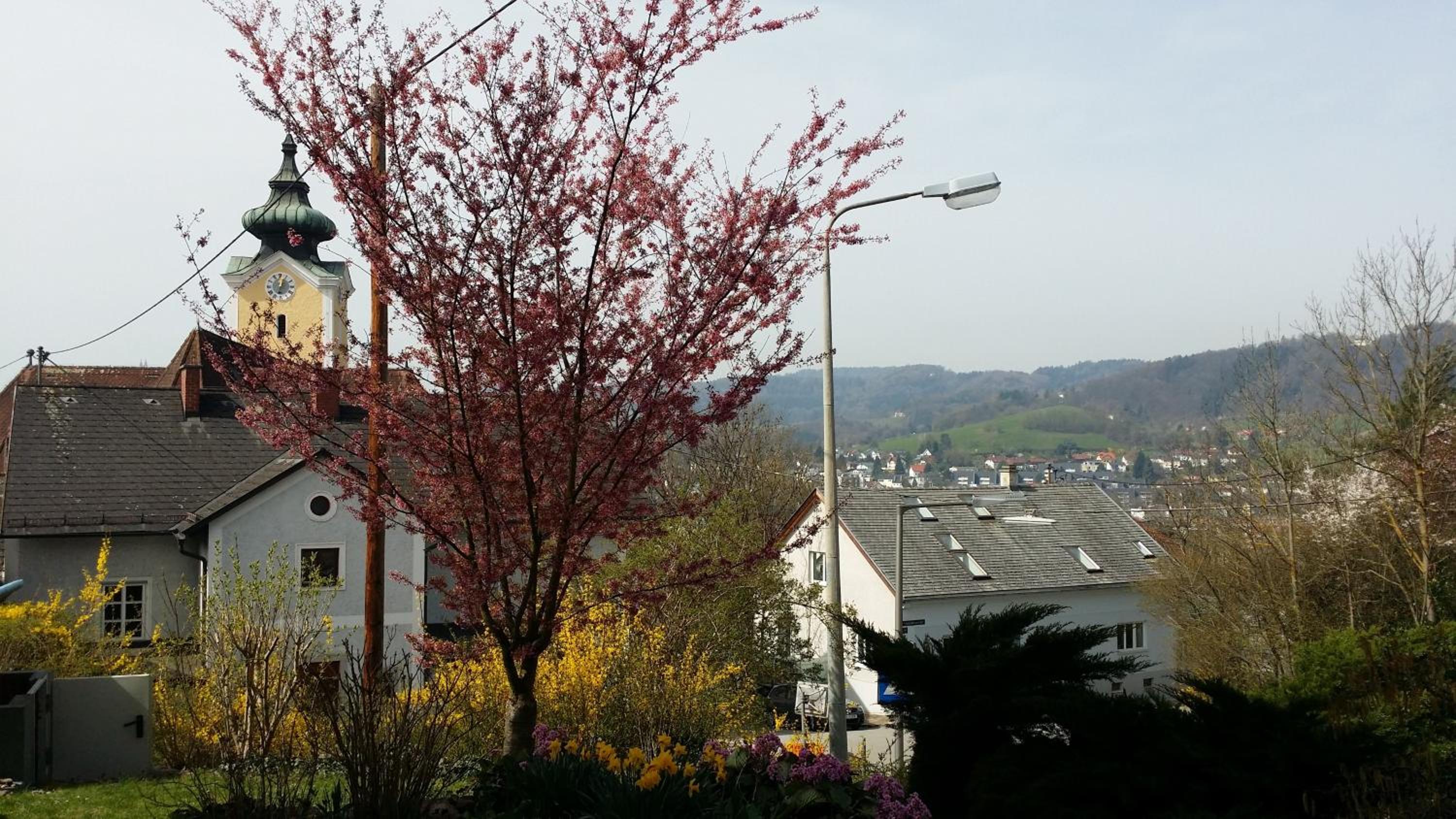 Linz Vacations - Mayerhofer House - Property Image 7