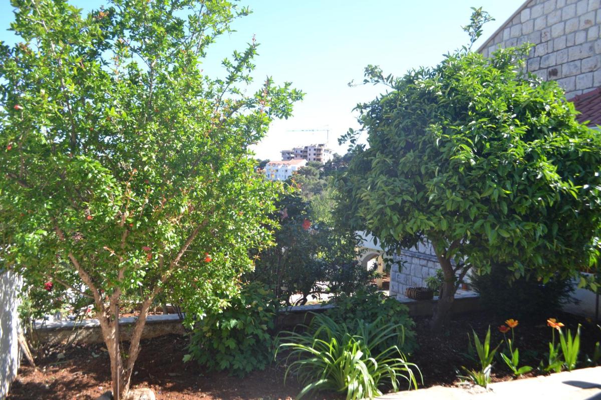 Madonna Guest House