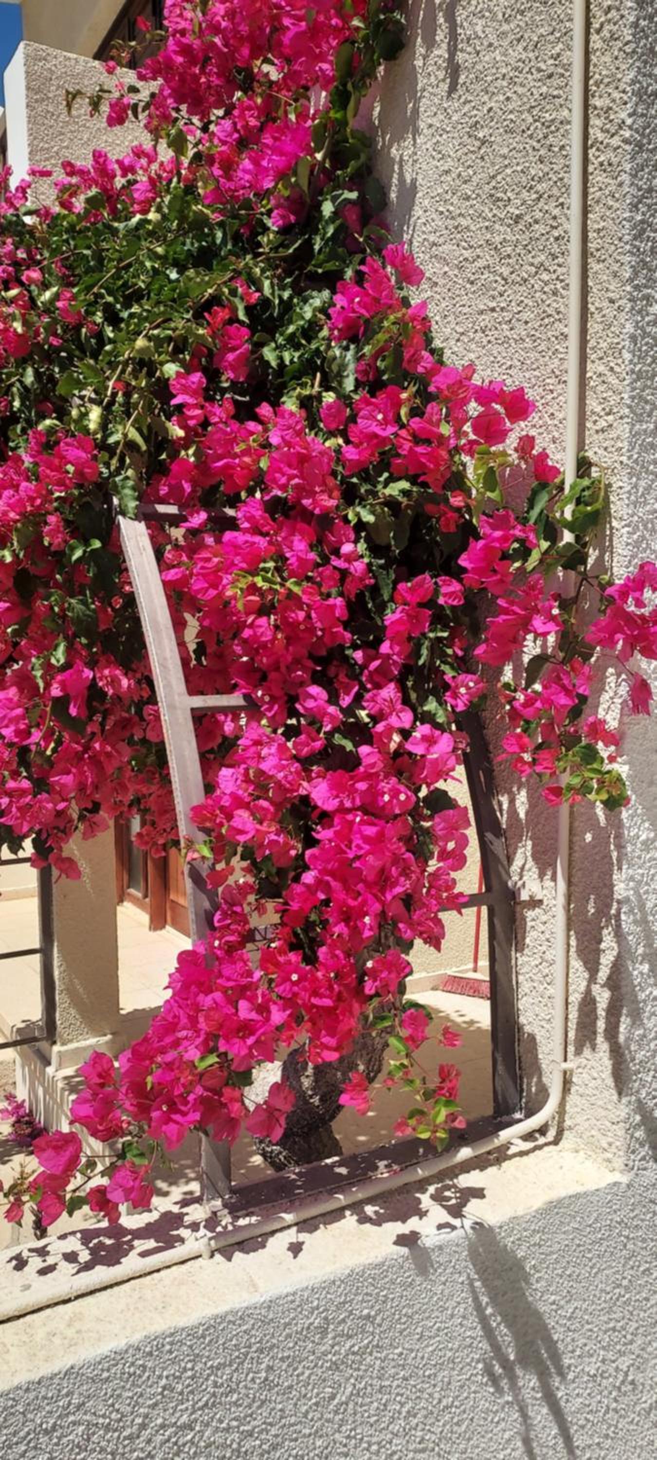 Sea Breeze Maisonette