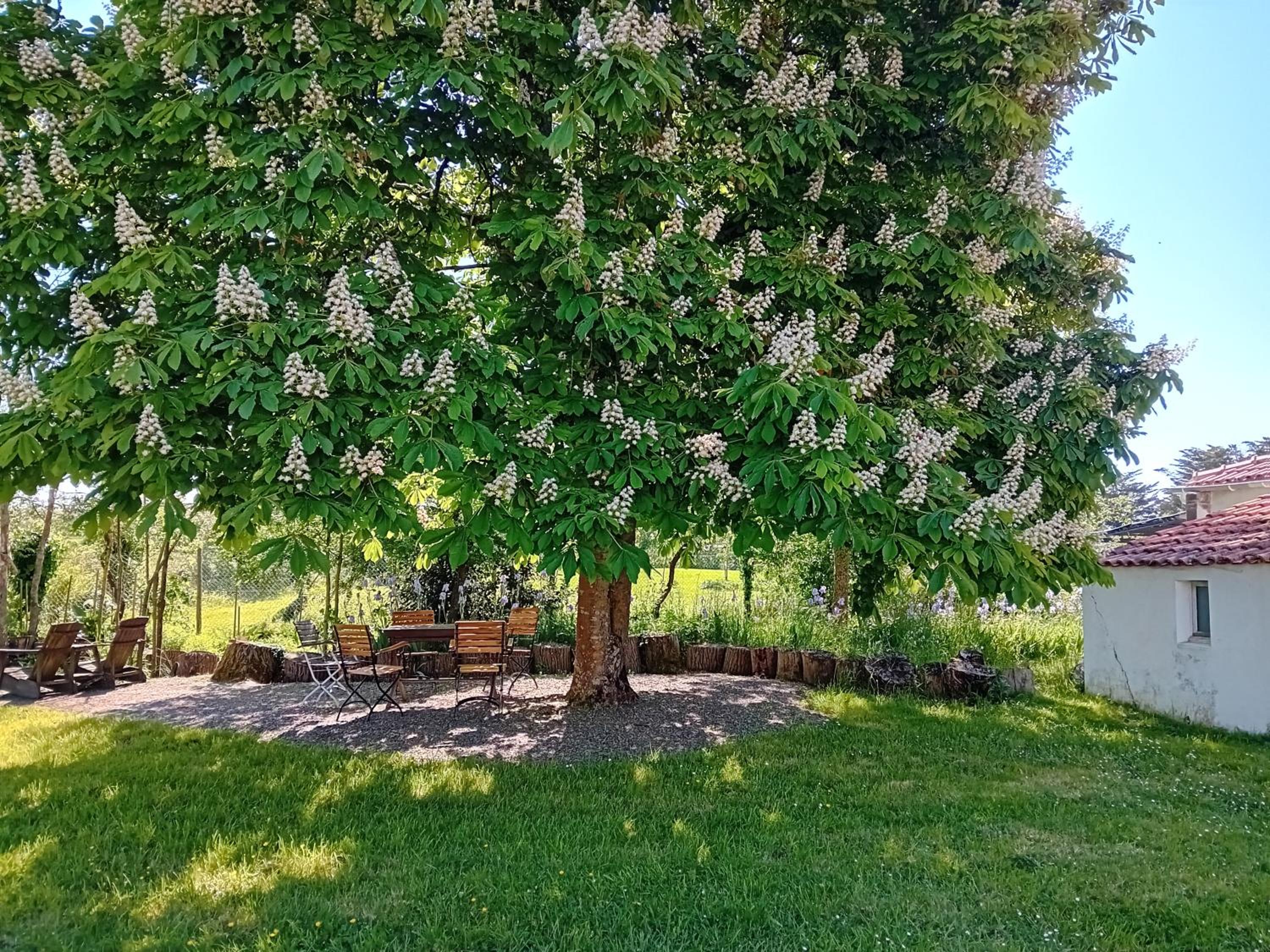 Auberge BonBeauJoli, photo 23