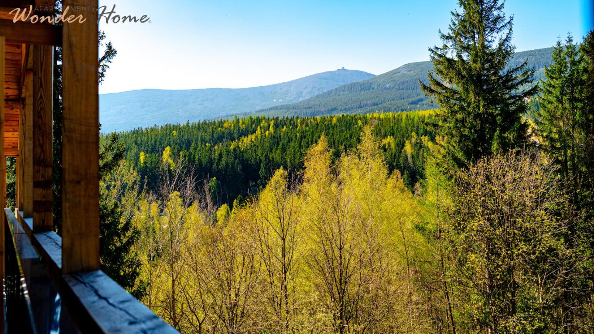 Wonder Home - Orlik Residence - Apartamenty z widokiem na Śnieżkę, blisko wyciągów, Ski Arena i Kościółka Wang