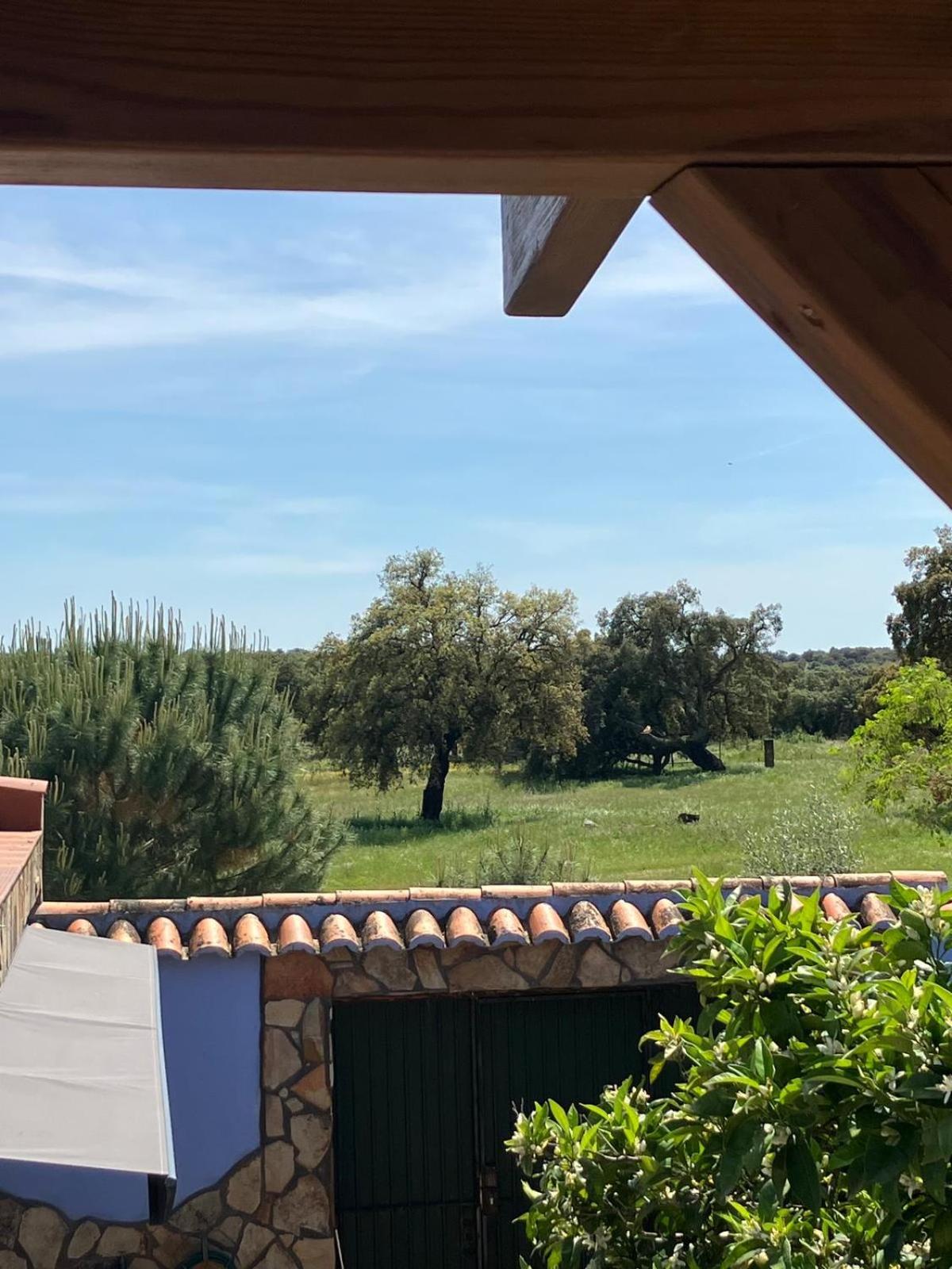 La Casa del Pueblo con piscina y barbacoa