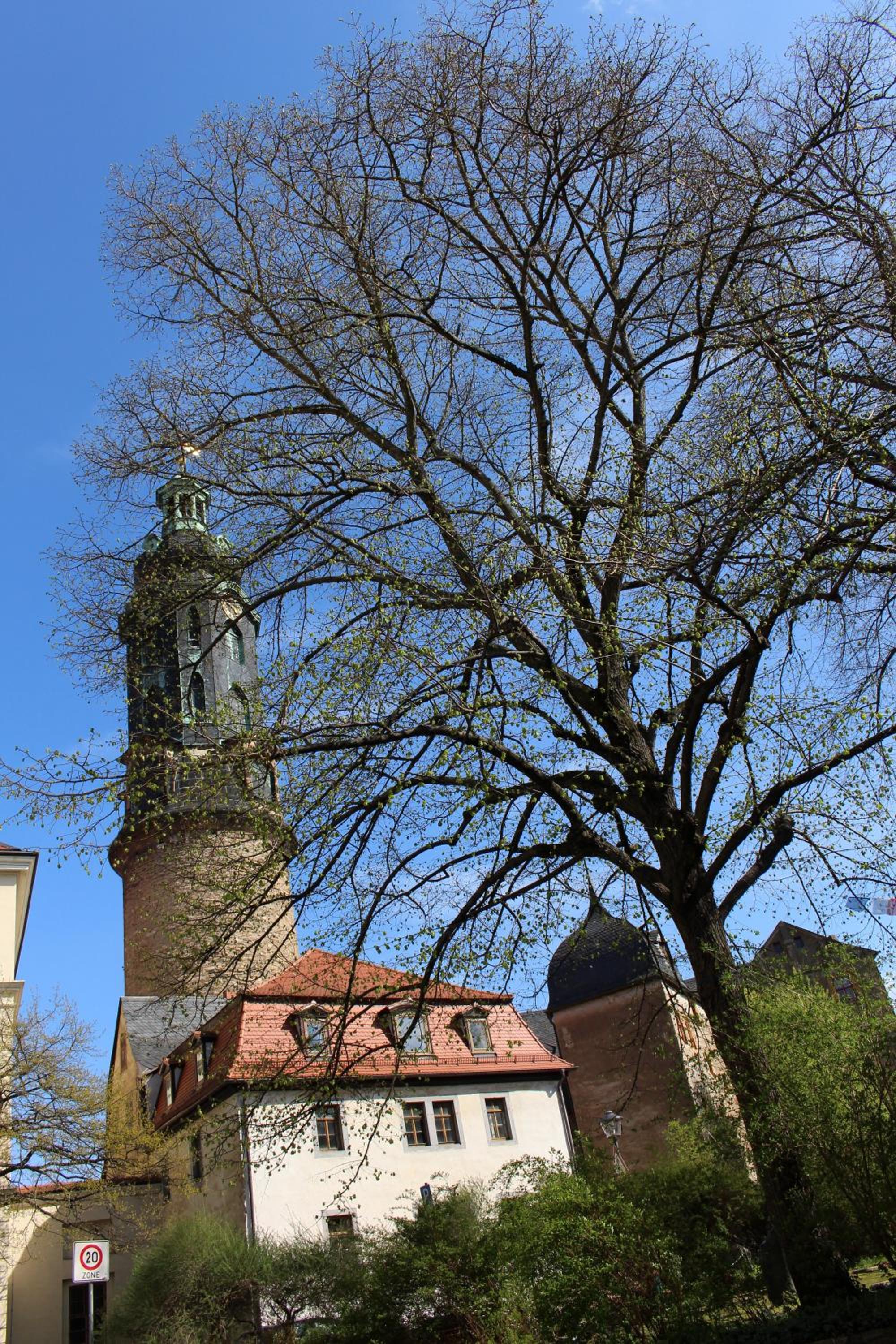 Pension Lindenhof