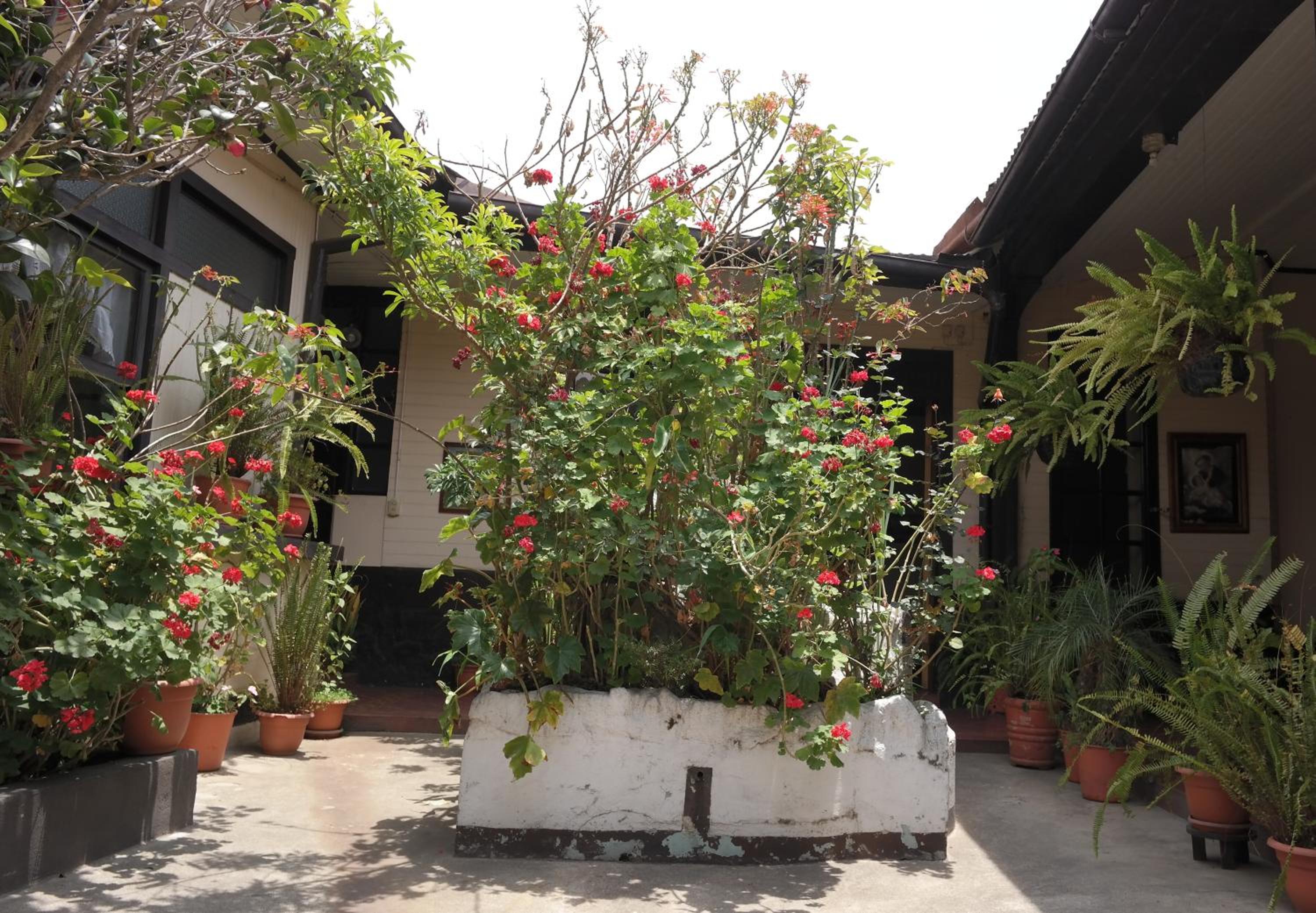 Casa Seibel