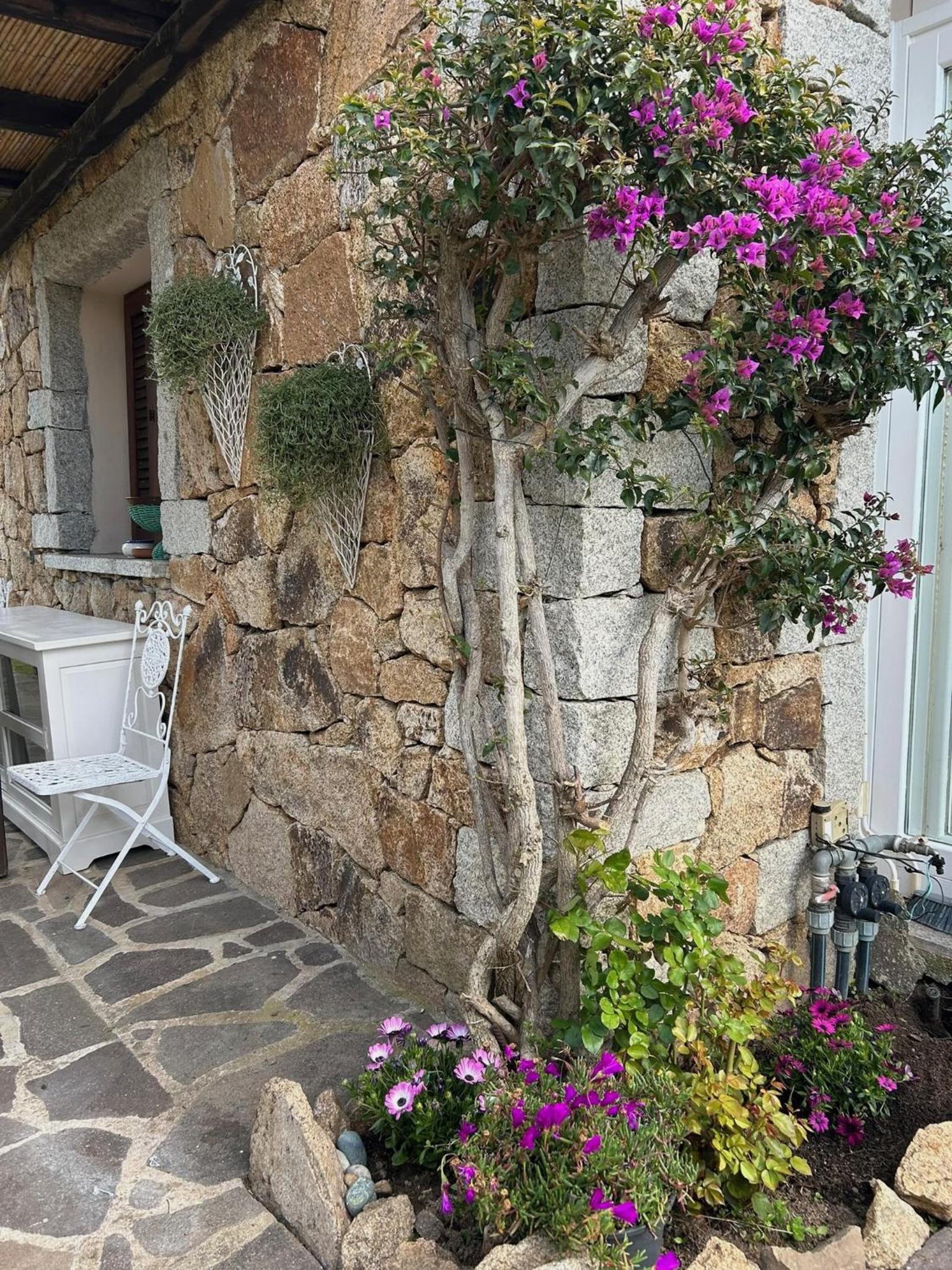 Ca' Mirto, una villa vicino a spiagge da sogno