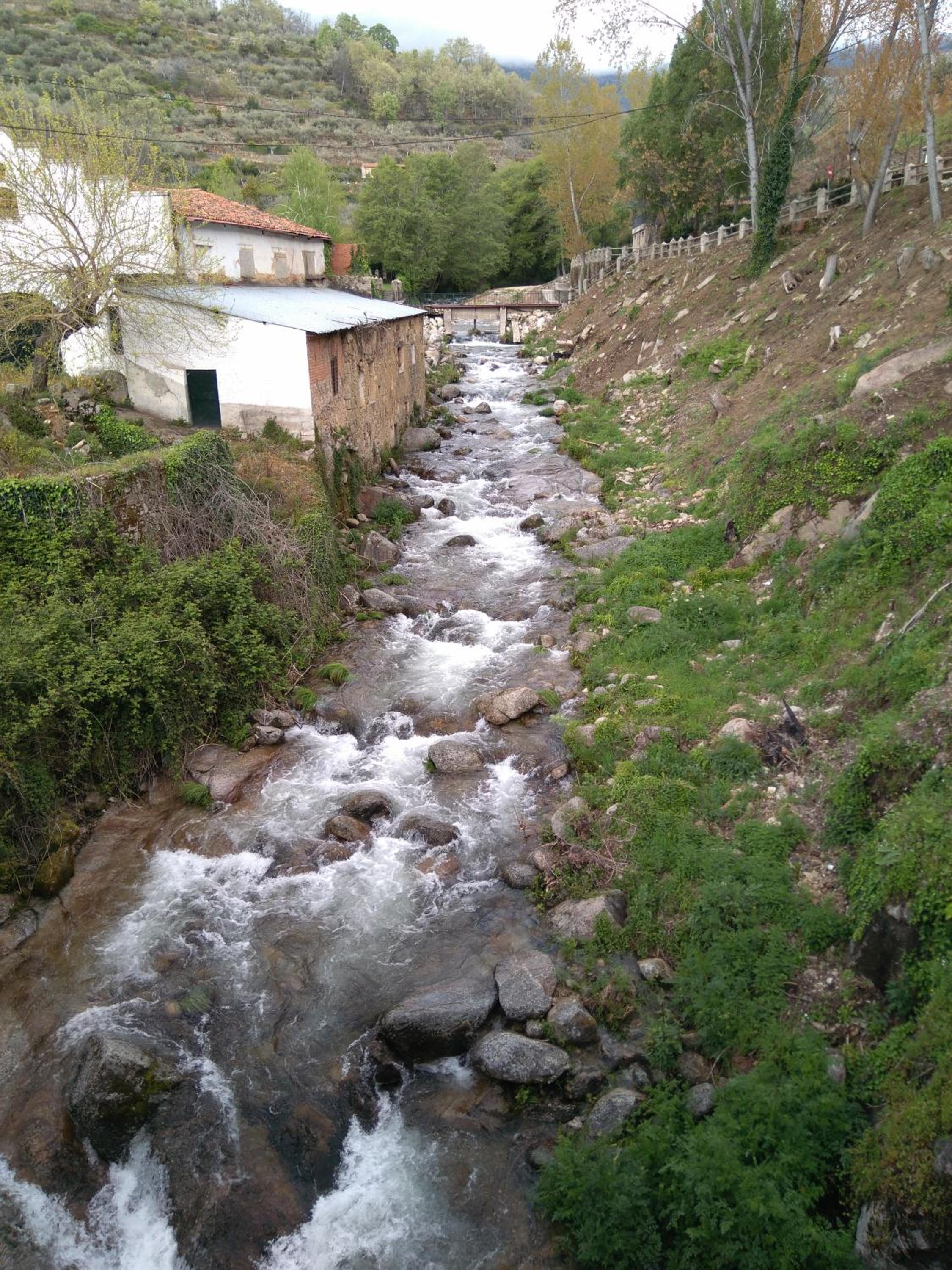 Photo 33