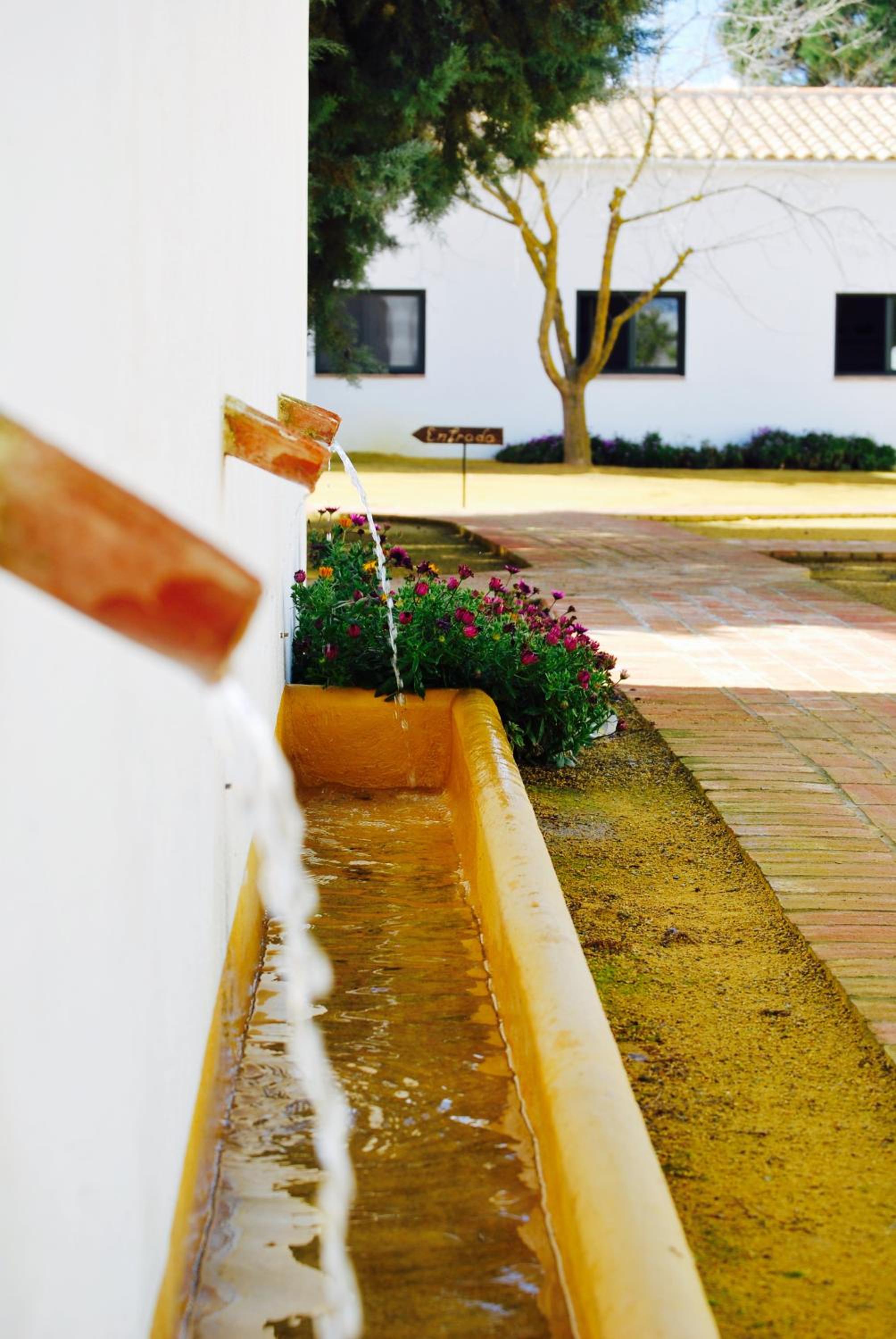 Cortijo de Vega Grande