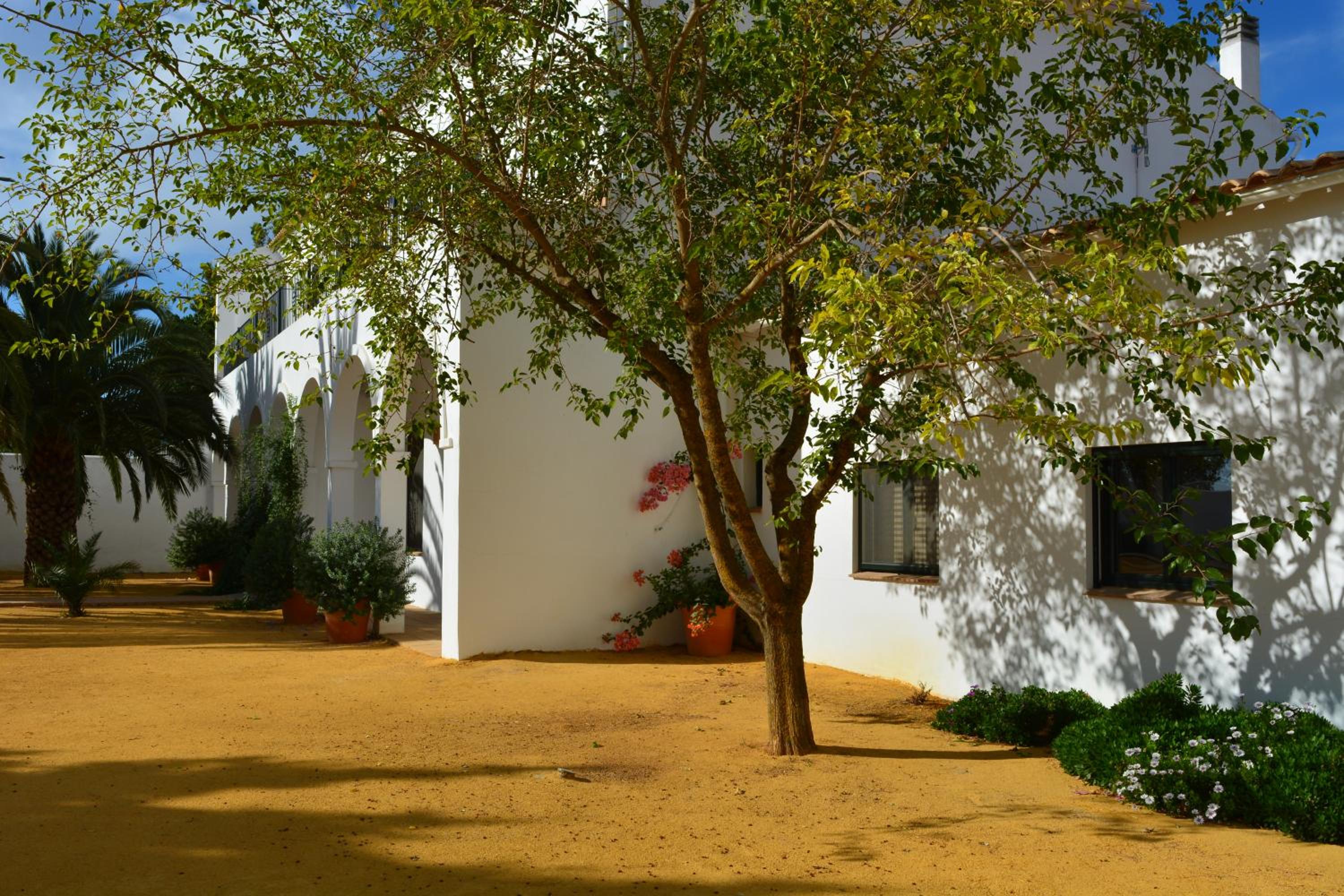 Cortijo de Vega Grande