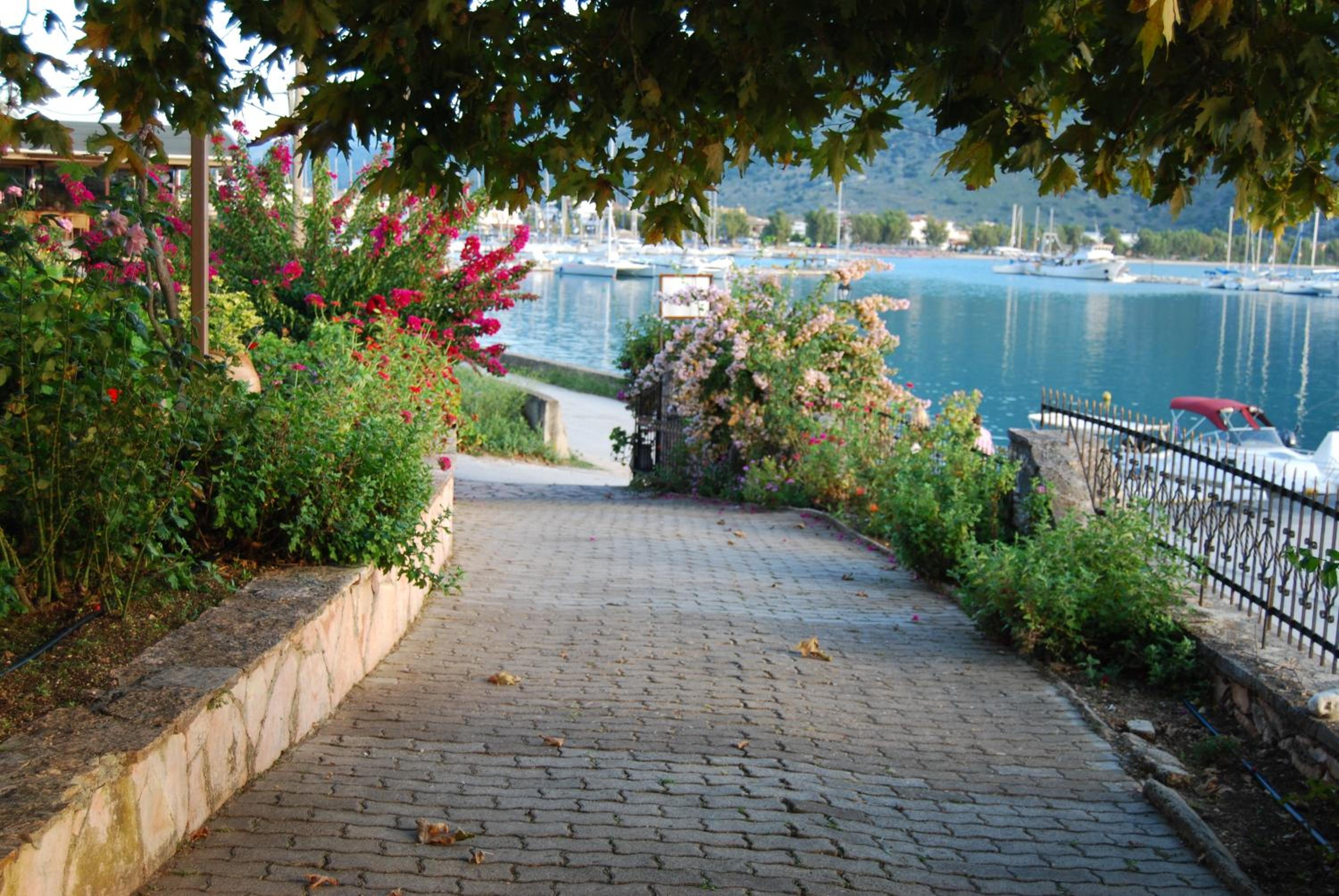 Photo 43
