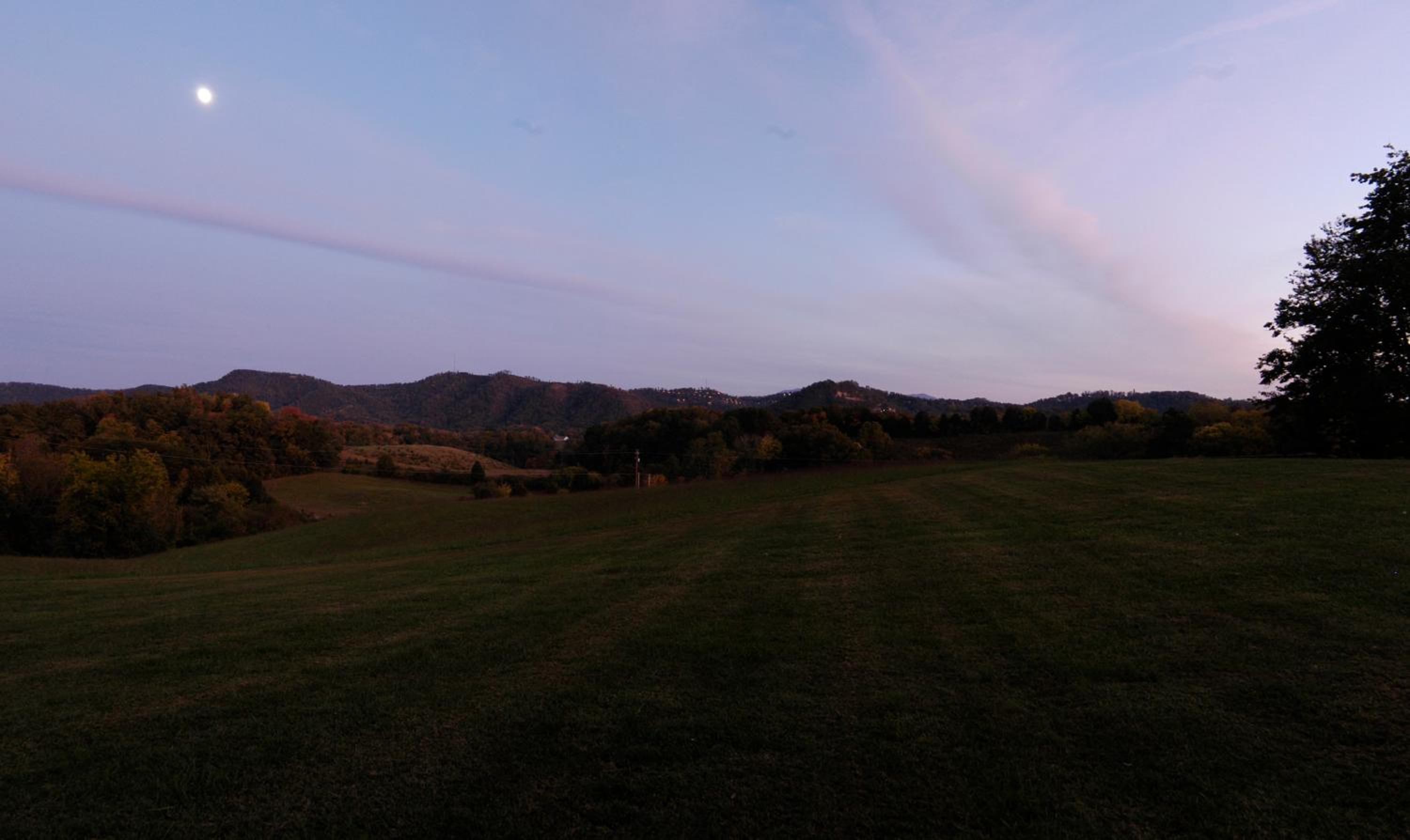 Photo 44