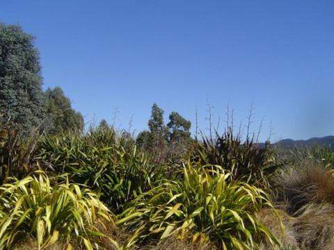 Photo 46