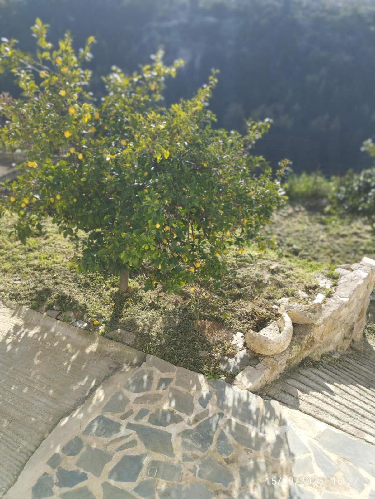 Terra di Karfis