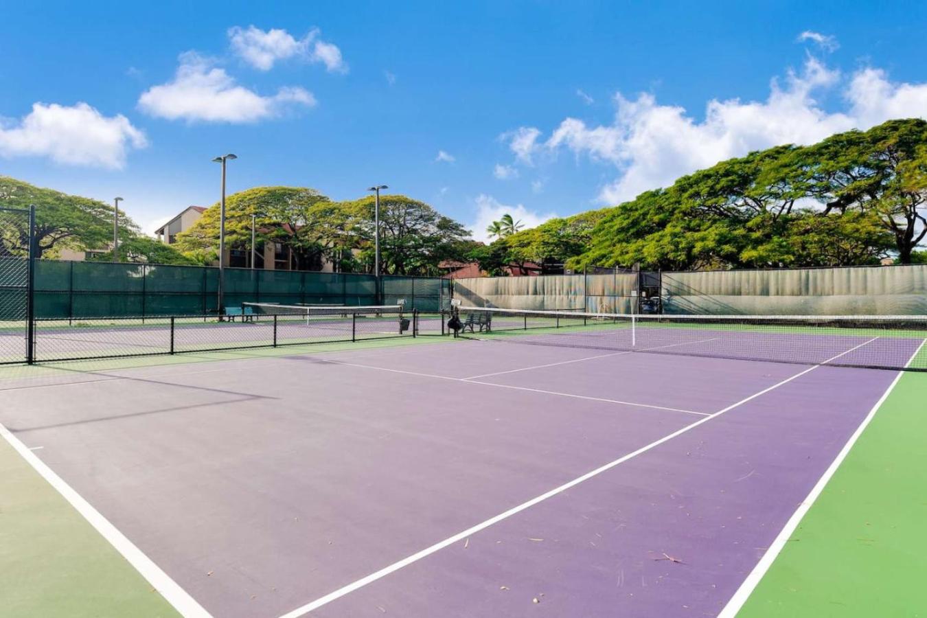 Papakea Resort - Beautiful Ocean Views 1 BR with AC