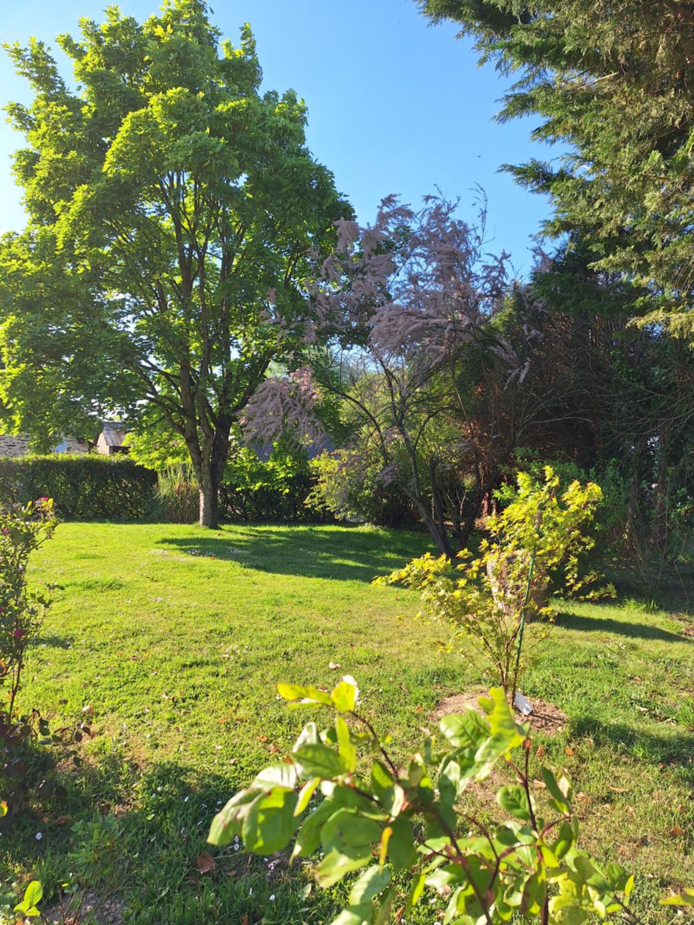 Gîte Chemin Des Hêtres
