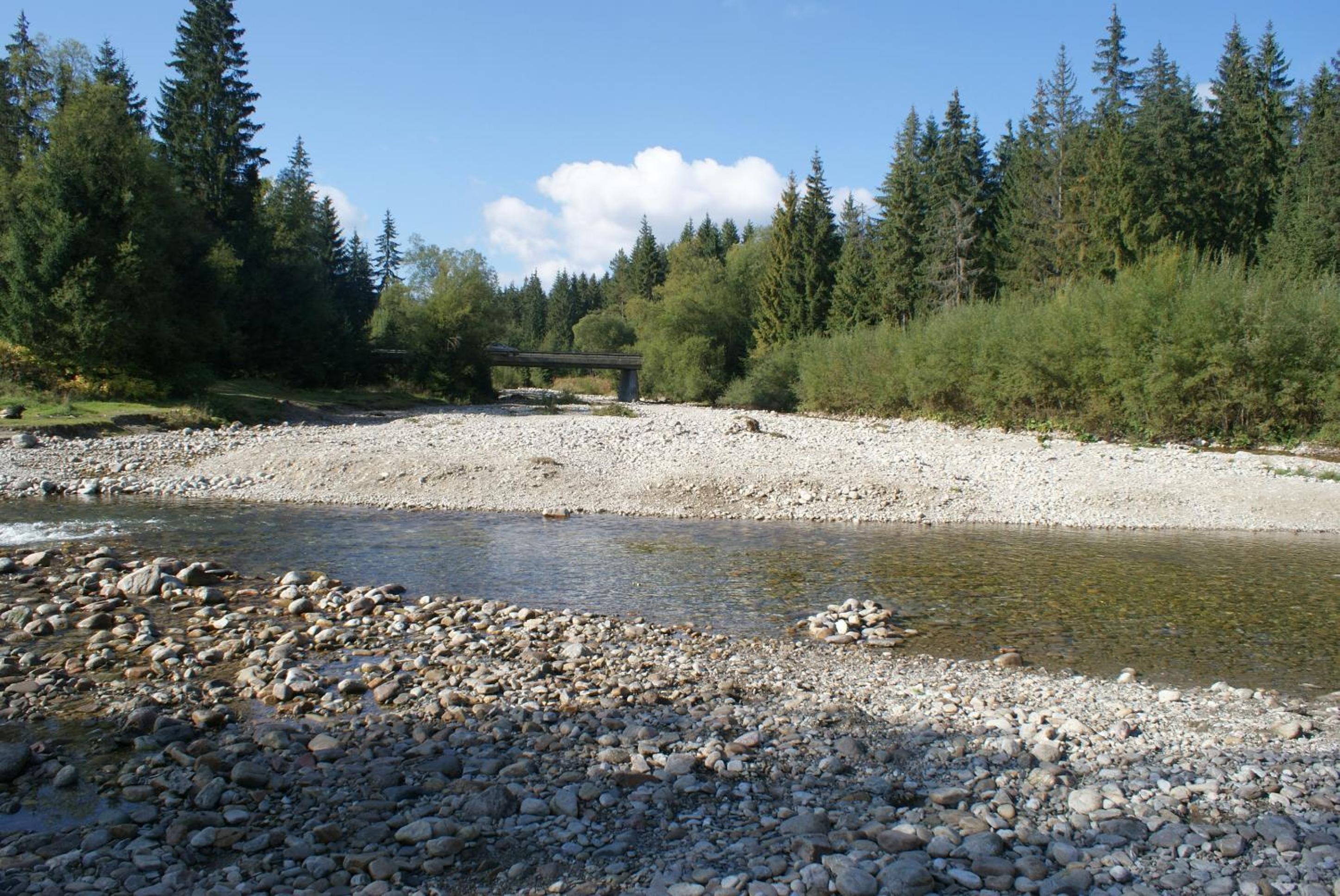 Photo 27