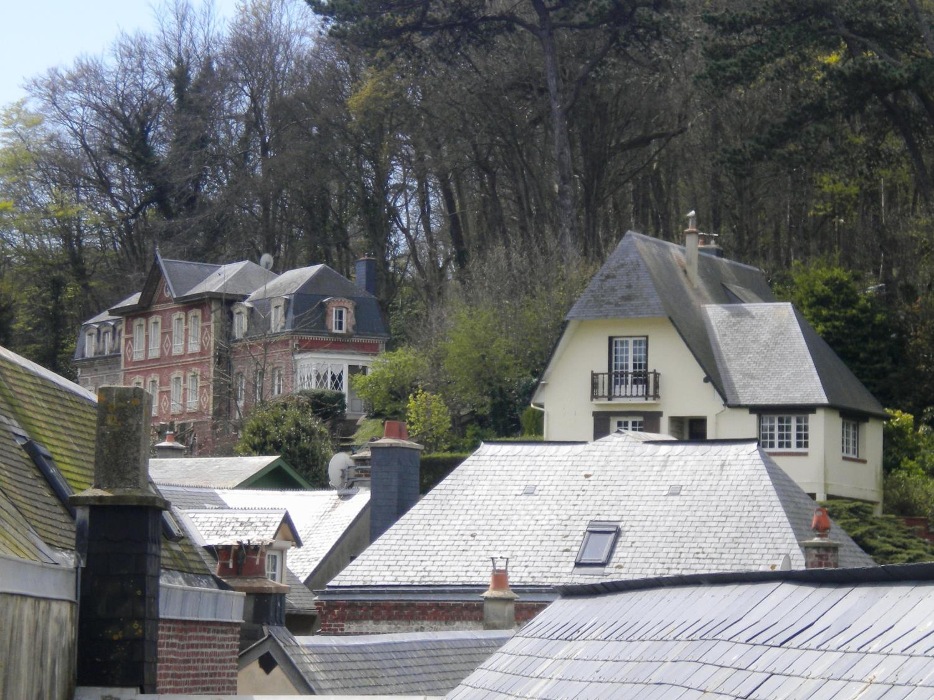 Photo 41