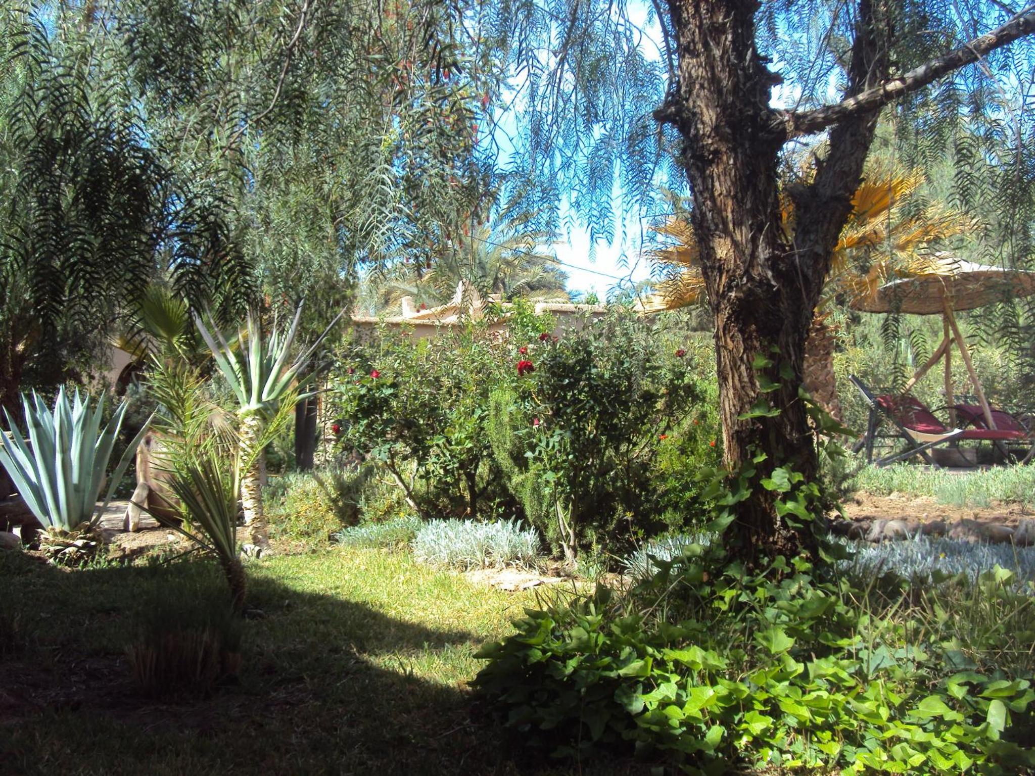Dar Lorkam