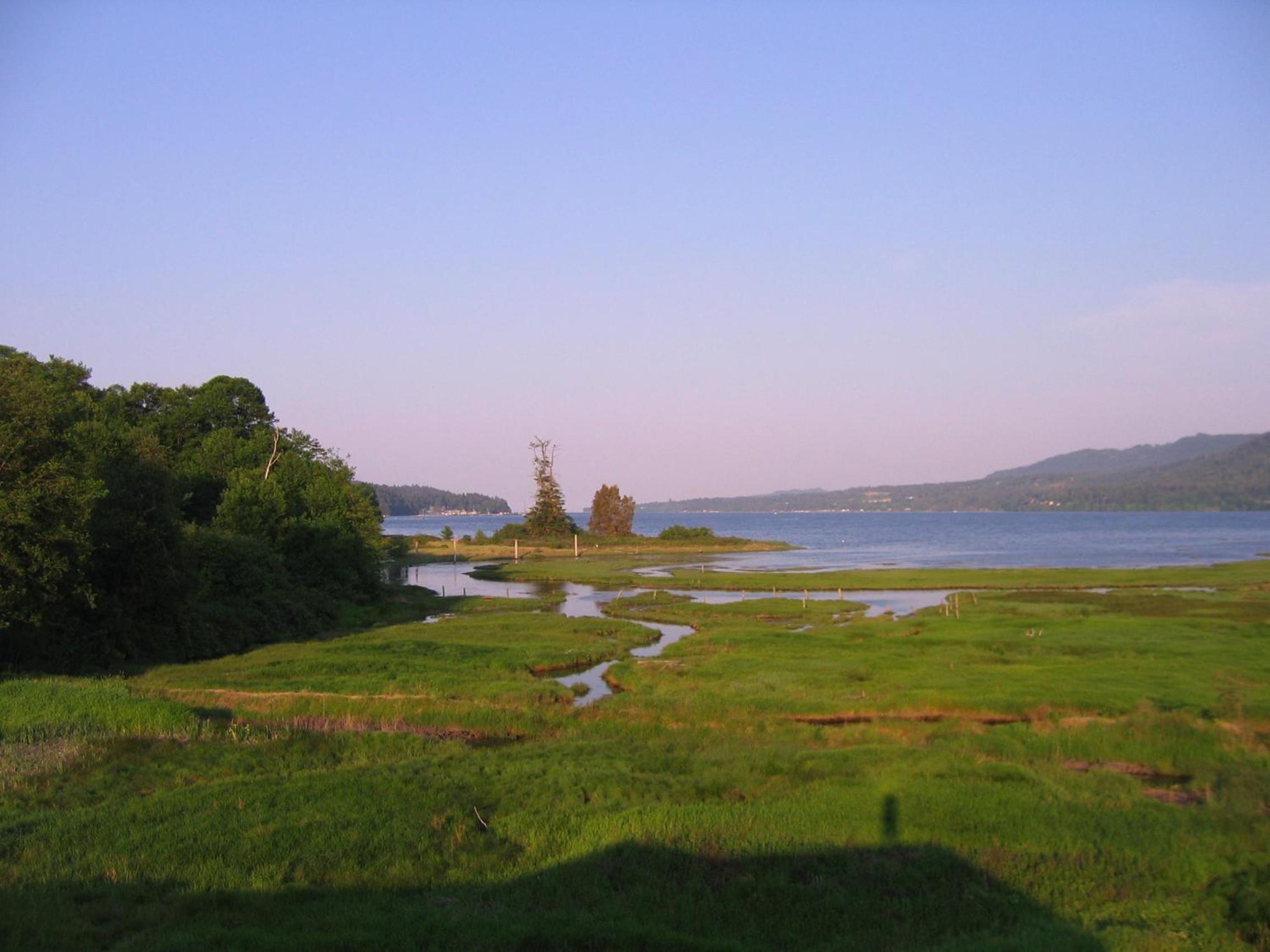 Inn the Estuary
