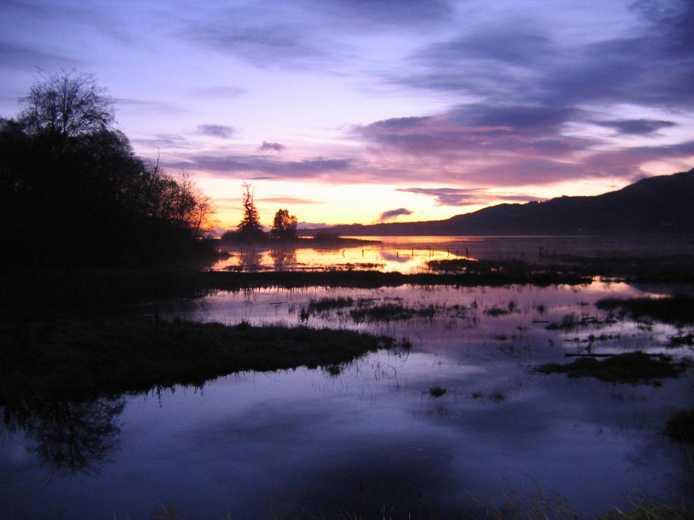 Inn the Estuary
