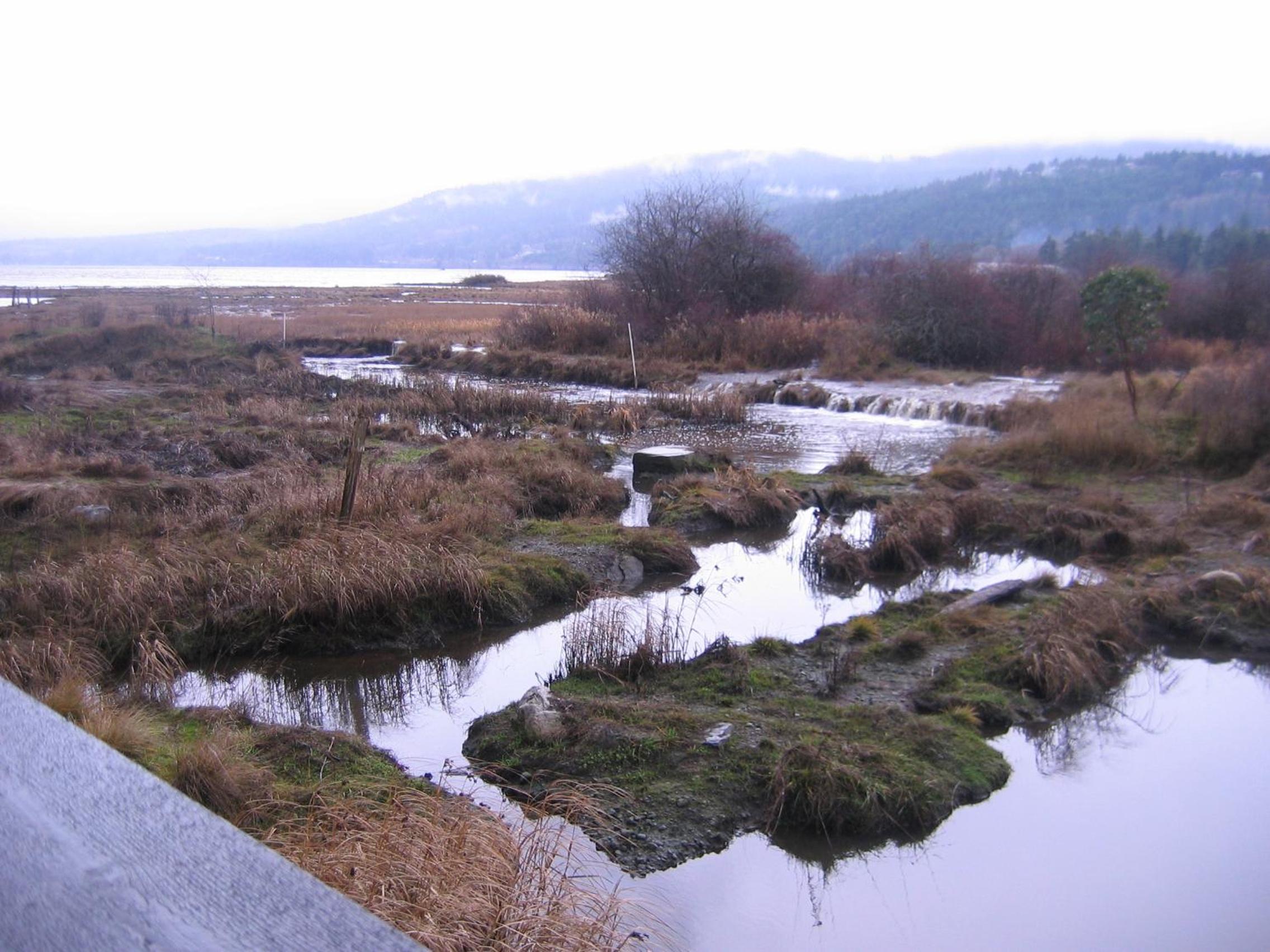Inn the Estuary