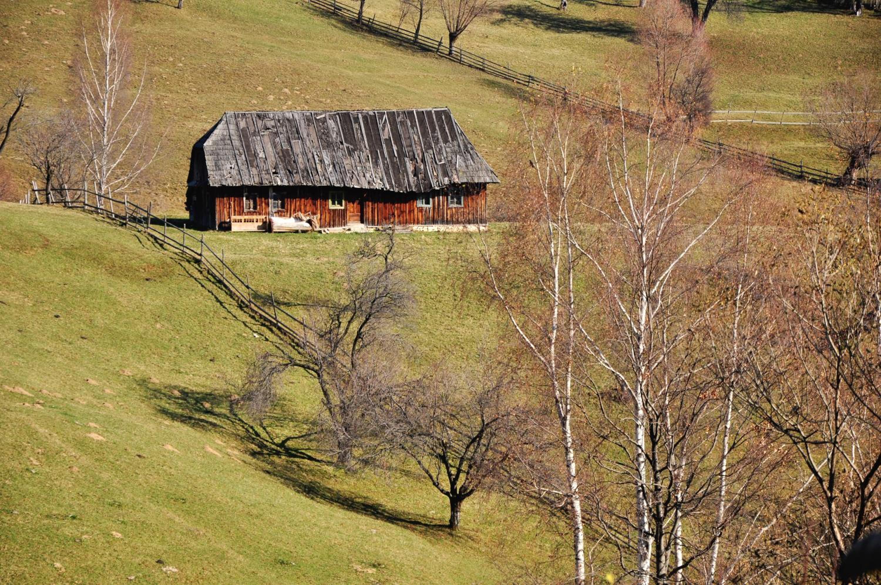 Photo 43