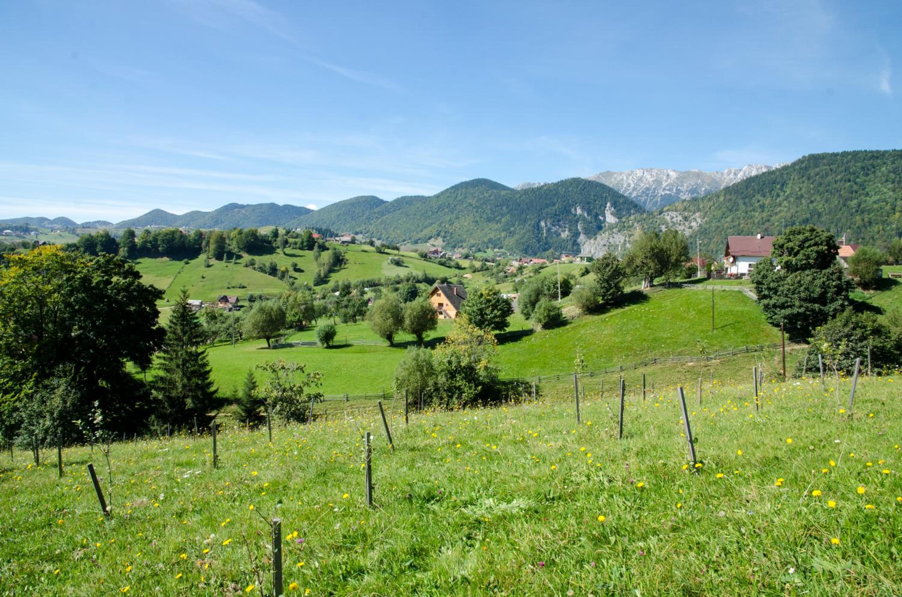 Photo 44