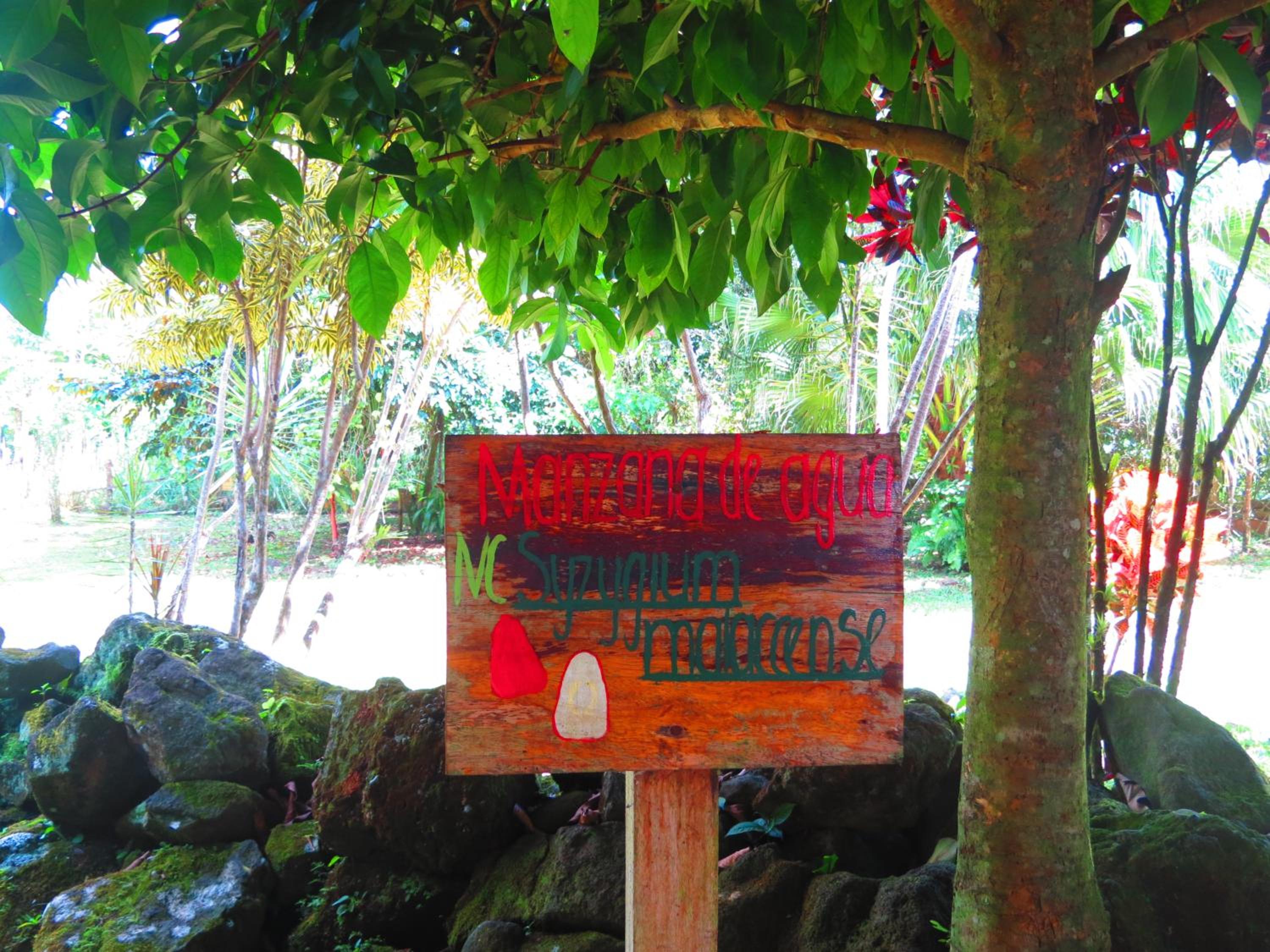Vocaré Finca Agroecológica