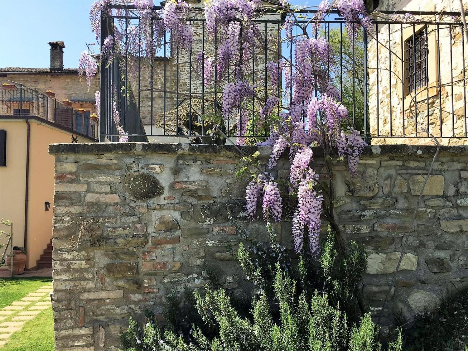 Agriturismo I Gelsi di Santa Cristina