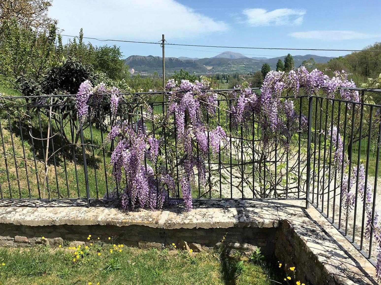 Agriturismo I Gelsi di Santa Cristina