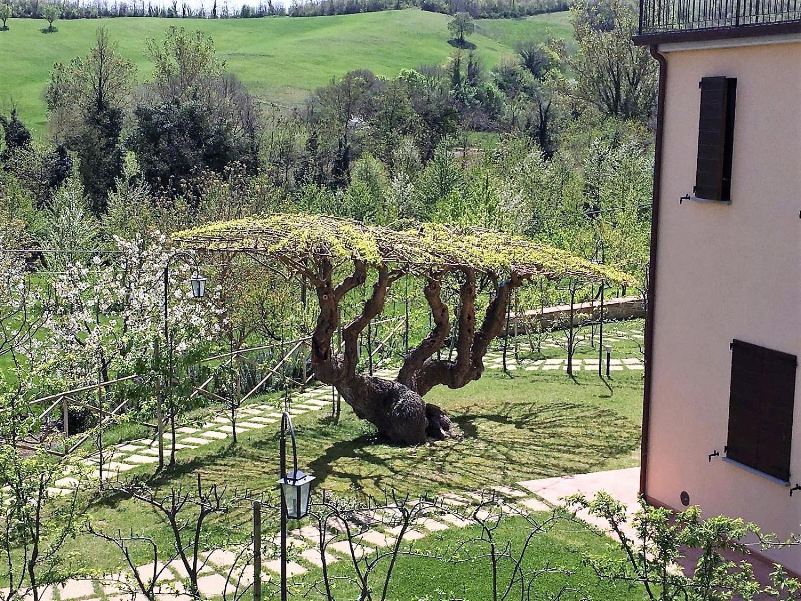 Agriturismo I Gelsi di Santa Cristina