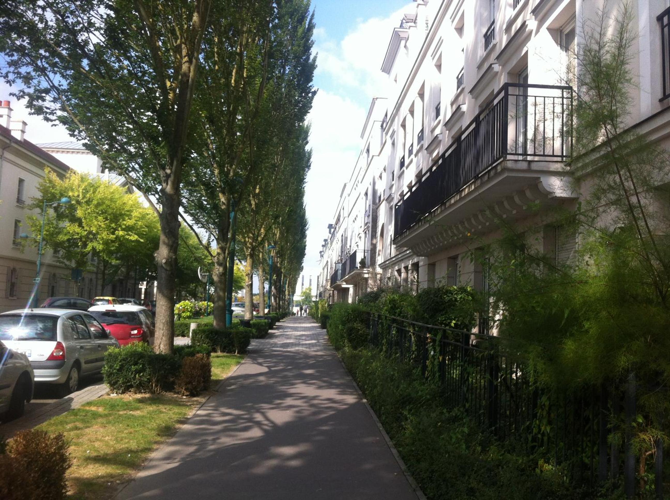 Photo 42