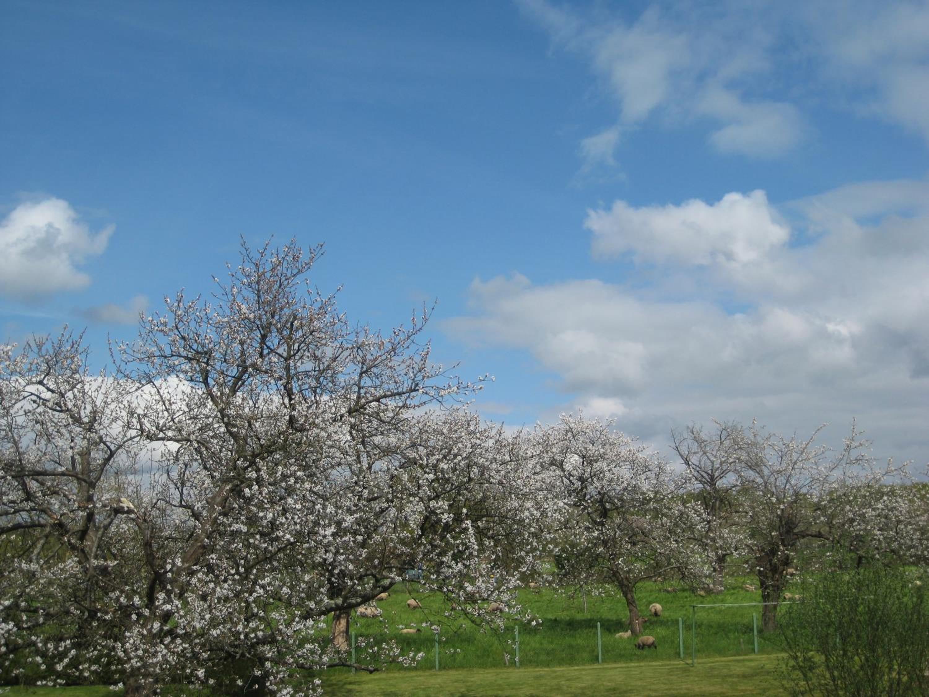 Photo 24