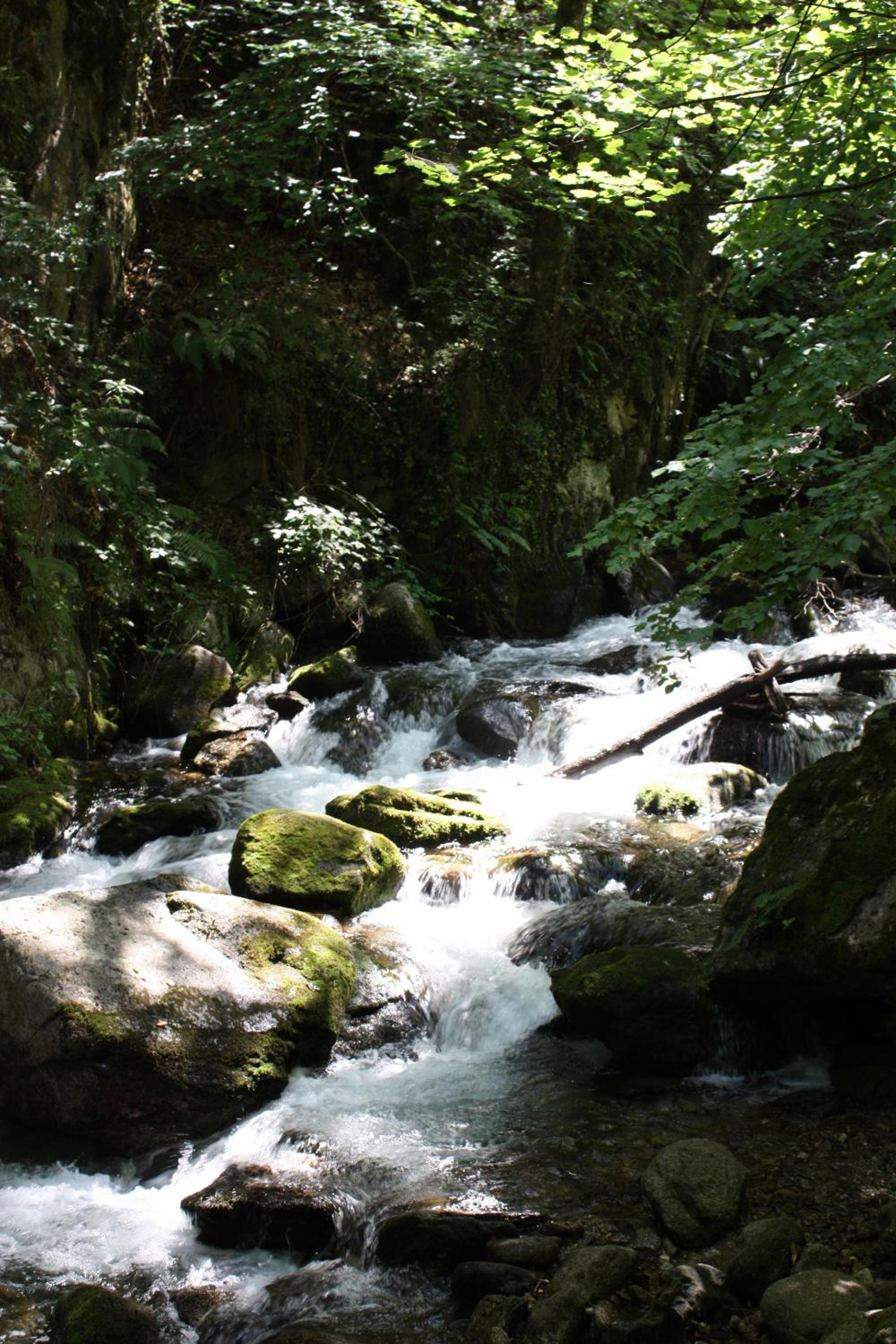 Compostela, photo 25