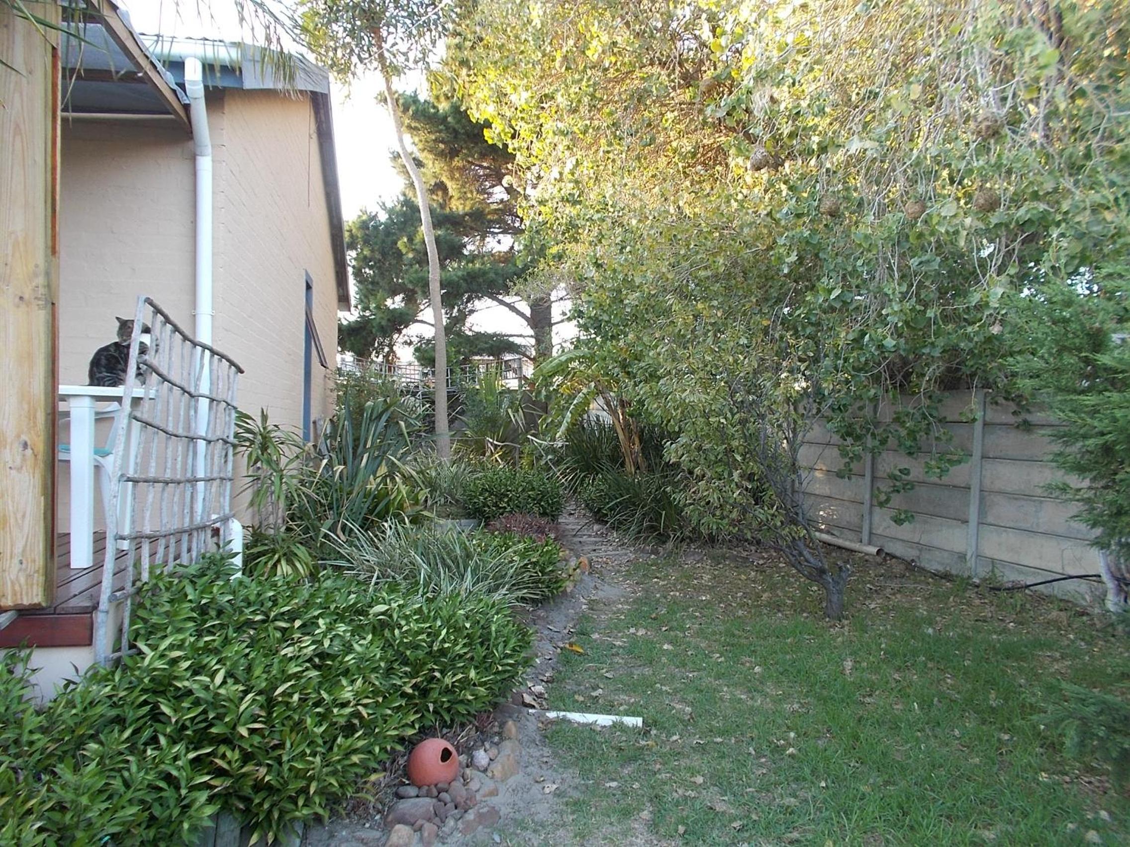 Photo 51