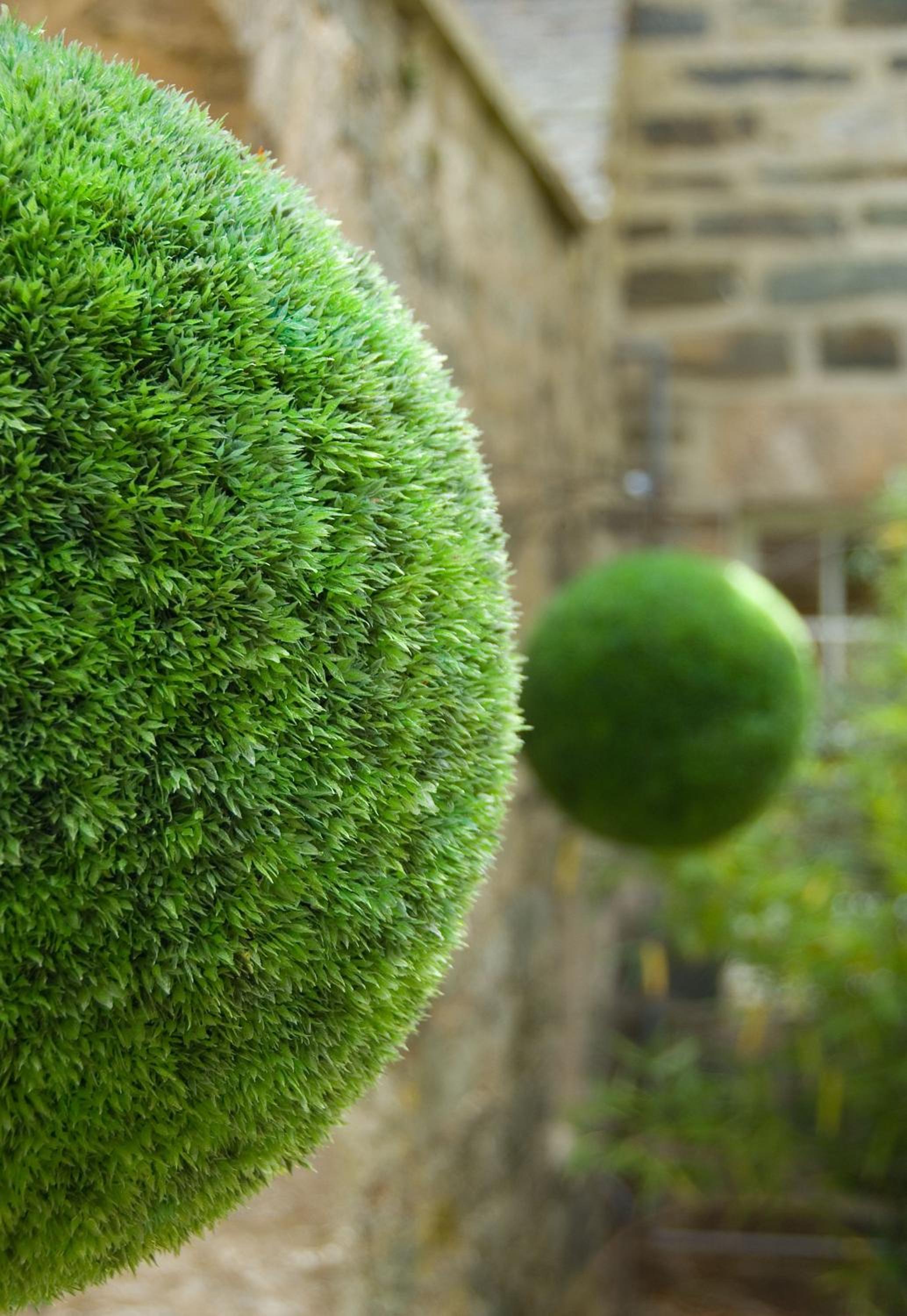 Craigatin House & Courtyard