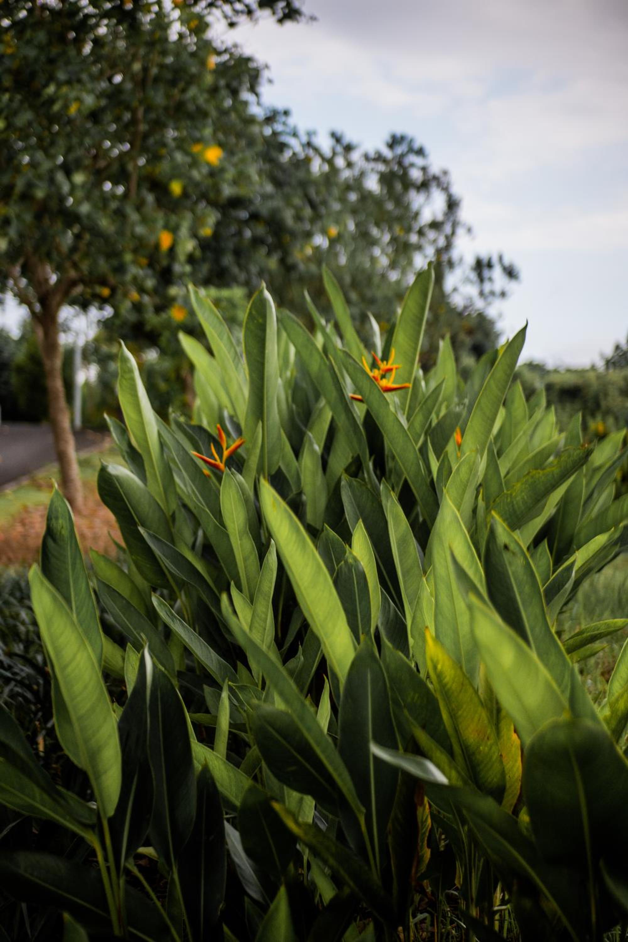 Nivata B2 Ciputra Beach Resort near Tanah Lot