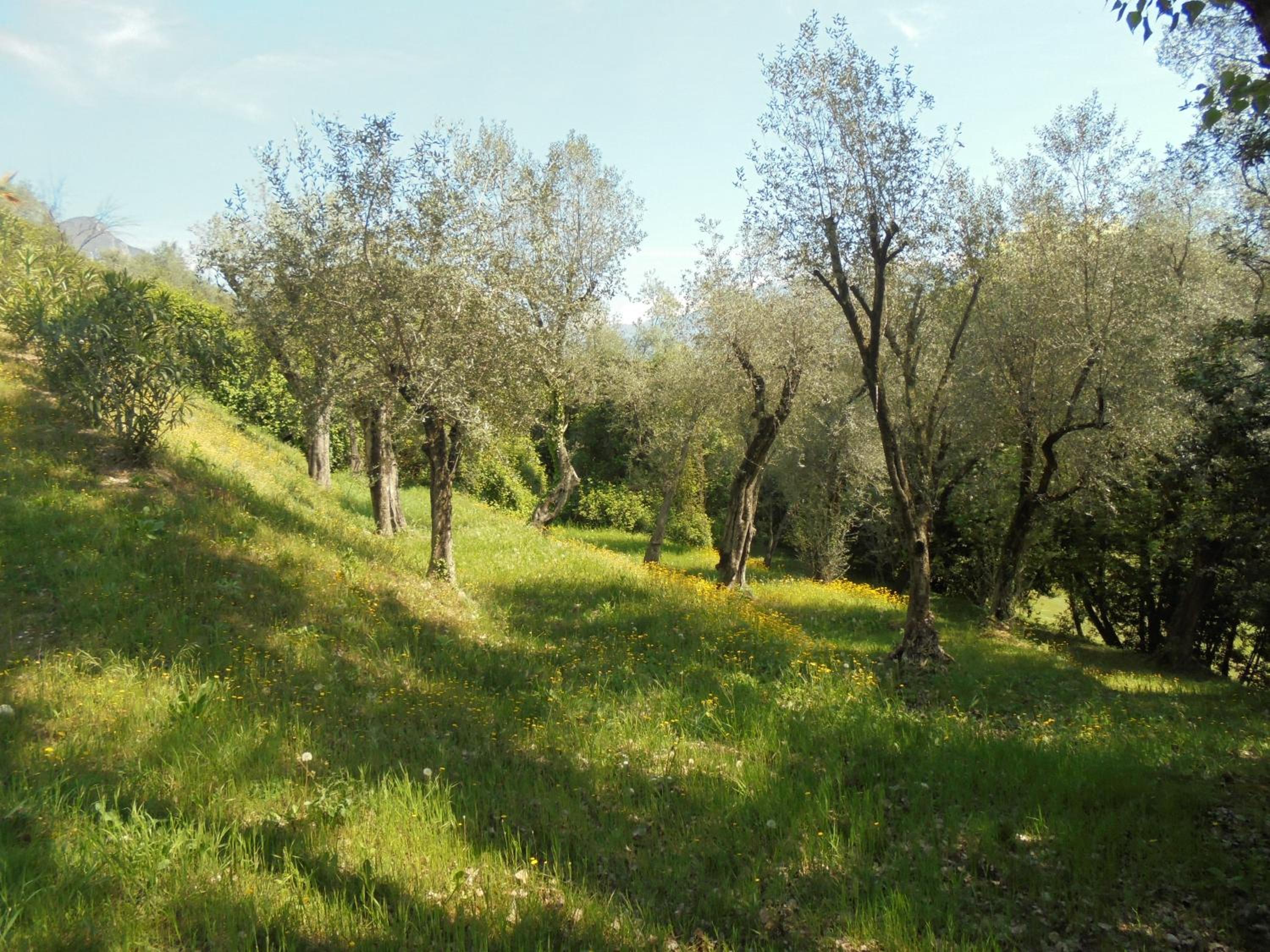 Photo 31