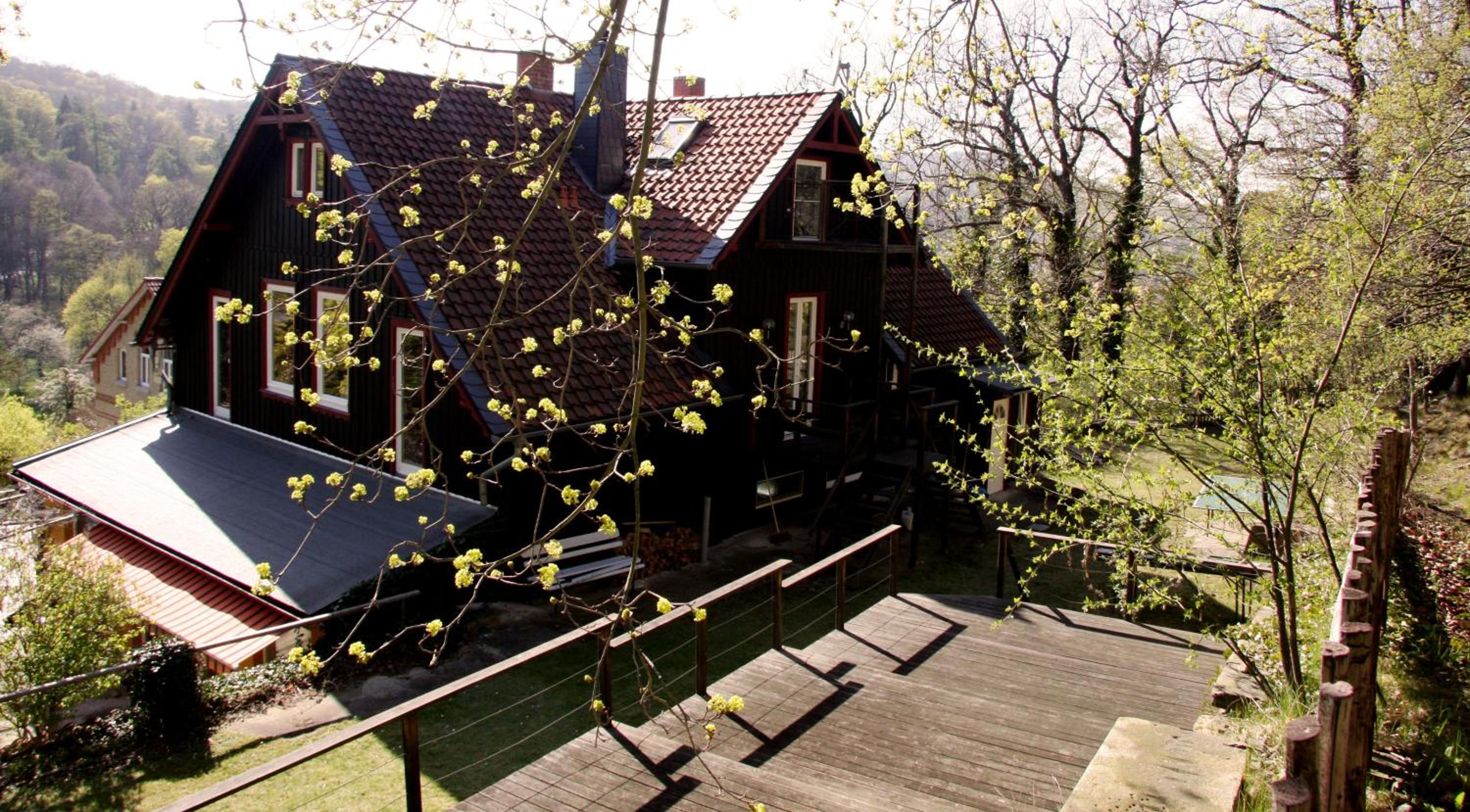 Photo 40